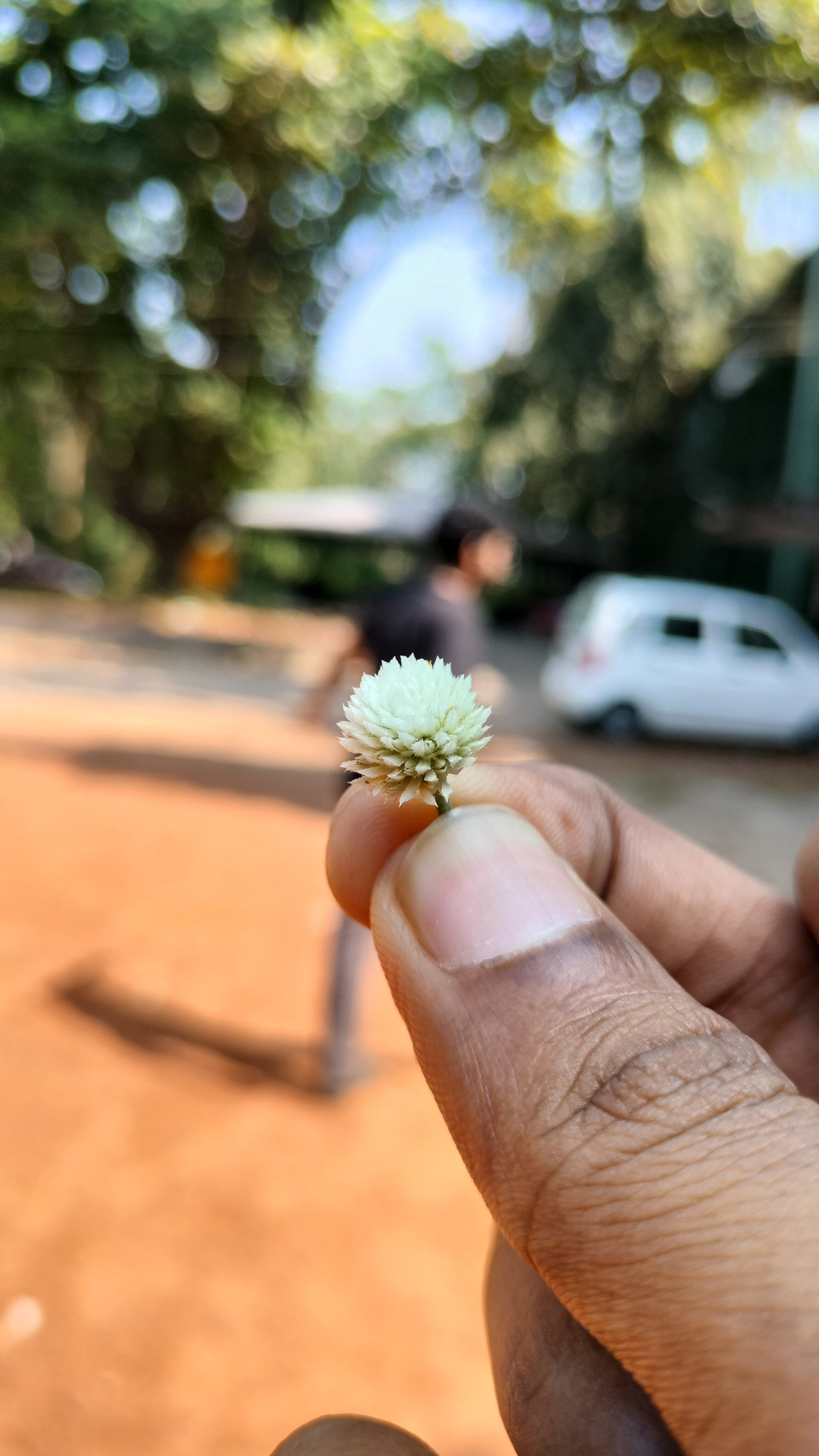 GMC Kozhikode Campus photo (11) by Dinesh V D