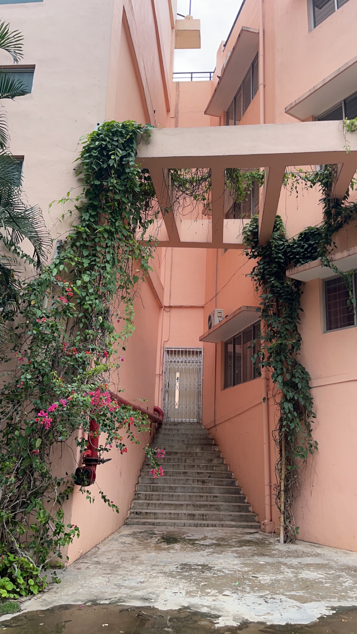 ICFAI Business School Bangalore Campus photo (4) by YASHIKA