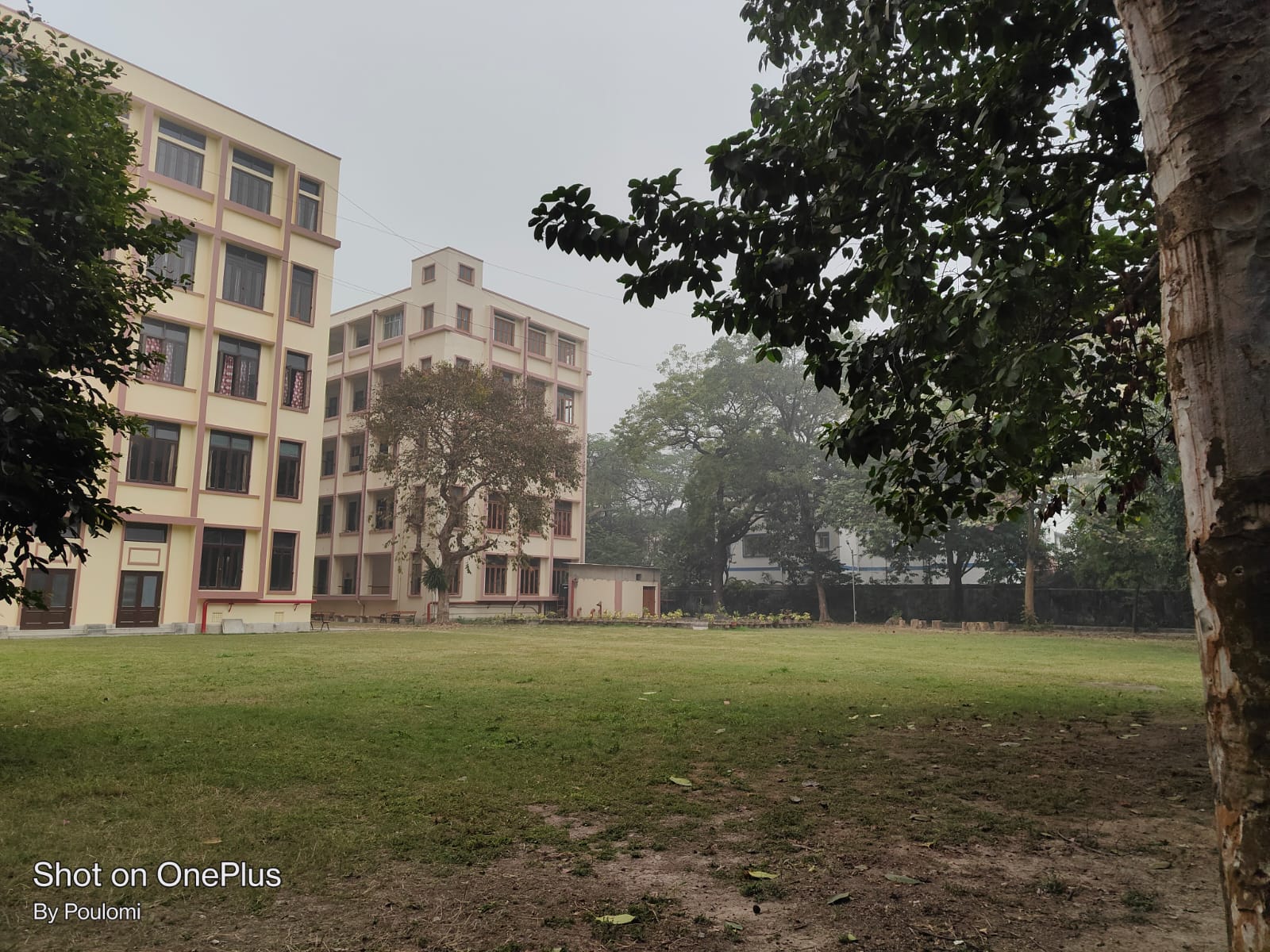 Loreto College Kolkata Campus photo (3) by Poulomi Dey