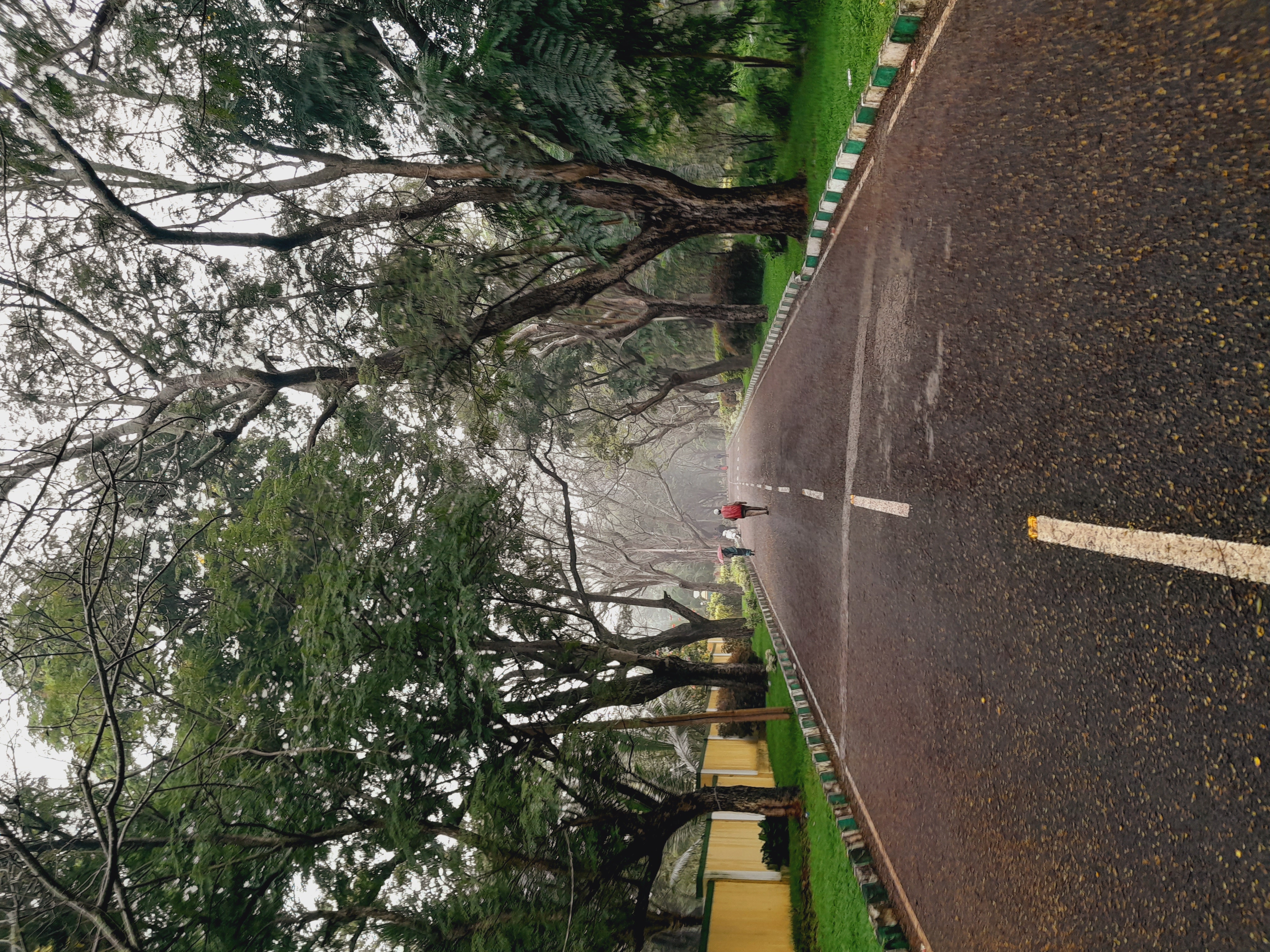 Yuvaraja's College Mysore Campus photo (2) by suraj