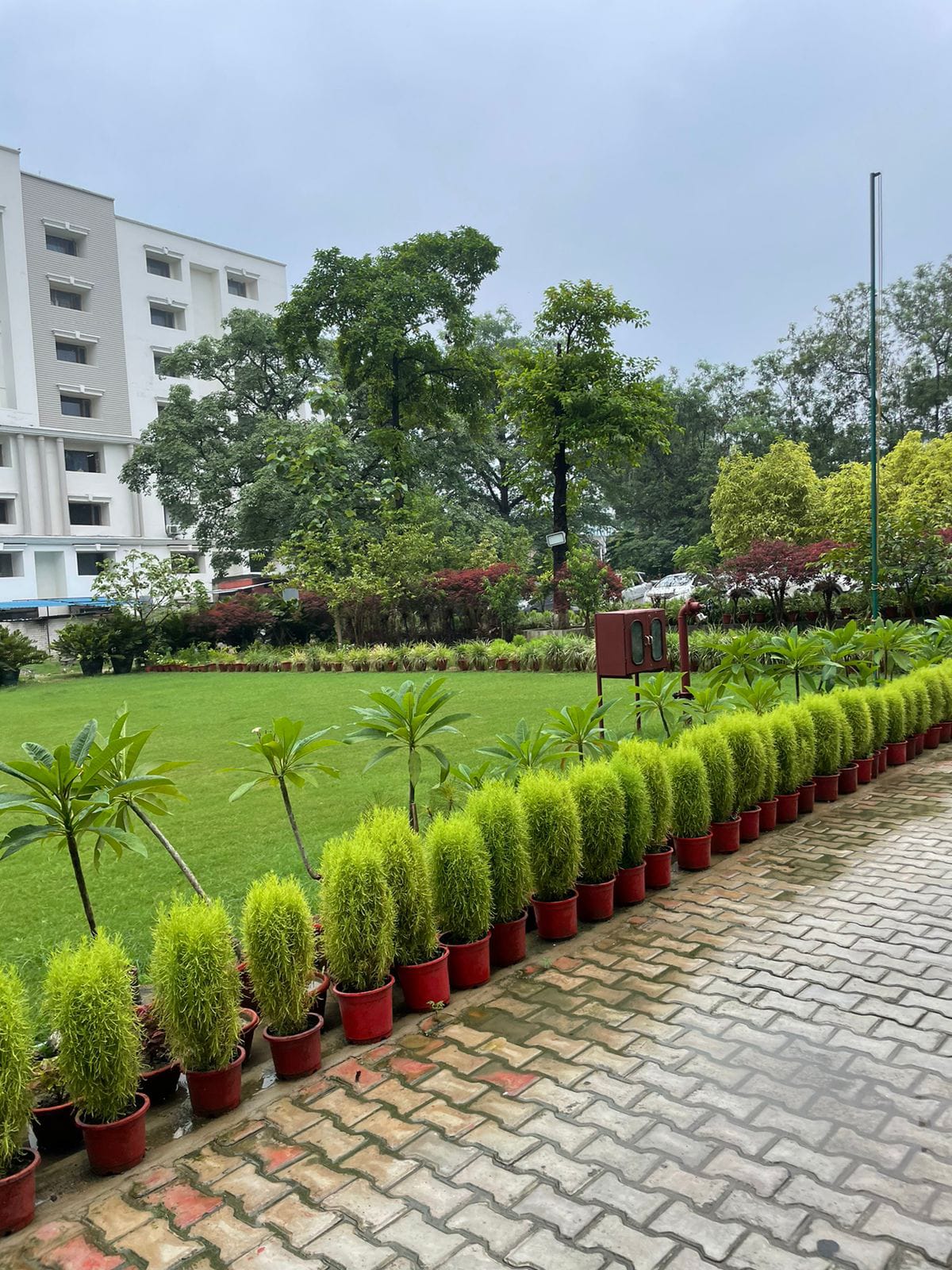 Era University Lucknow Campus photo (9) by Rasheena Safipuri