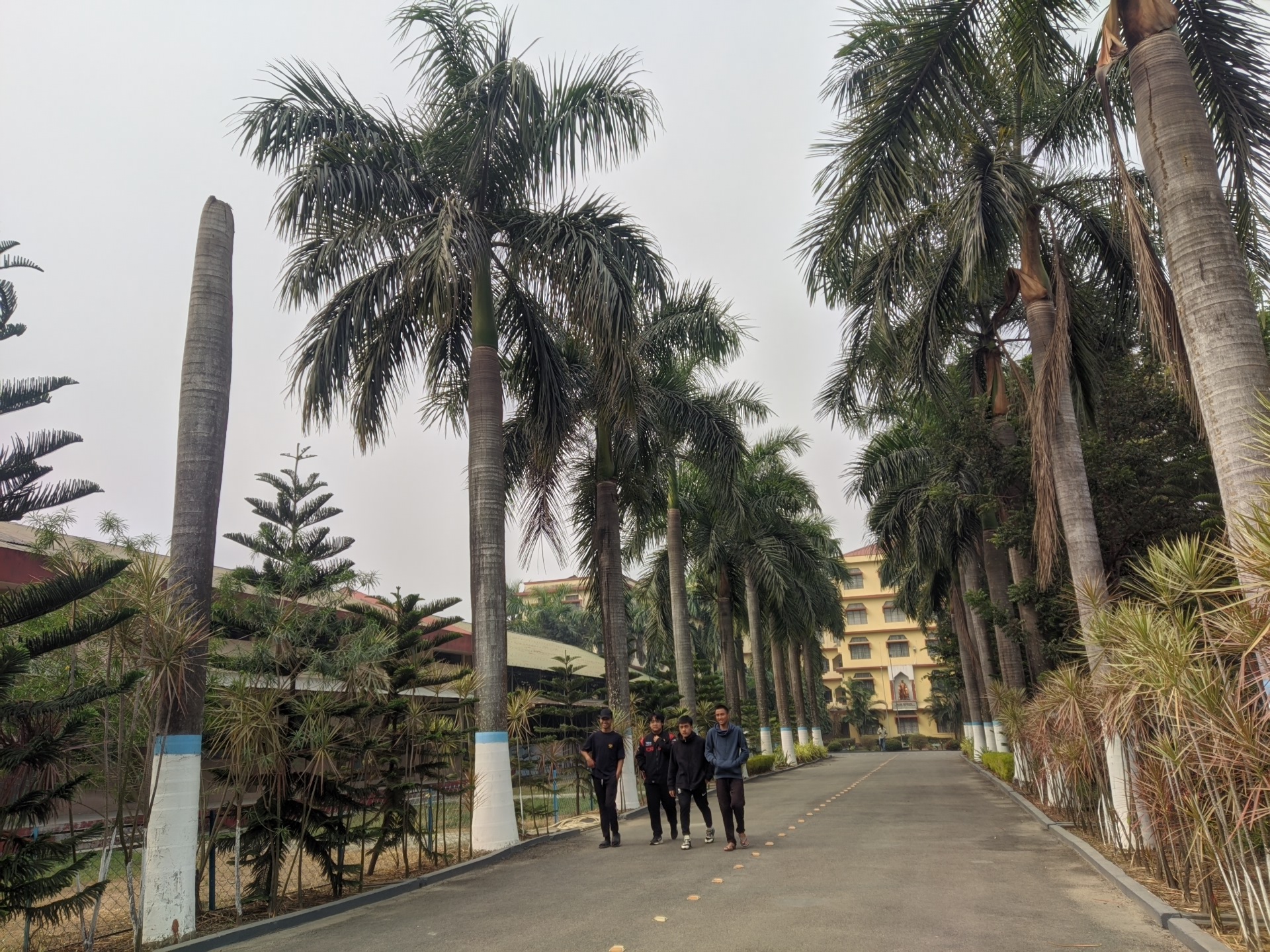 ADBU Campus photo (15) by Joseph Remthangsuo