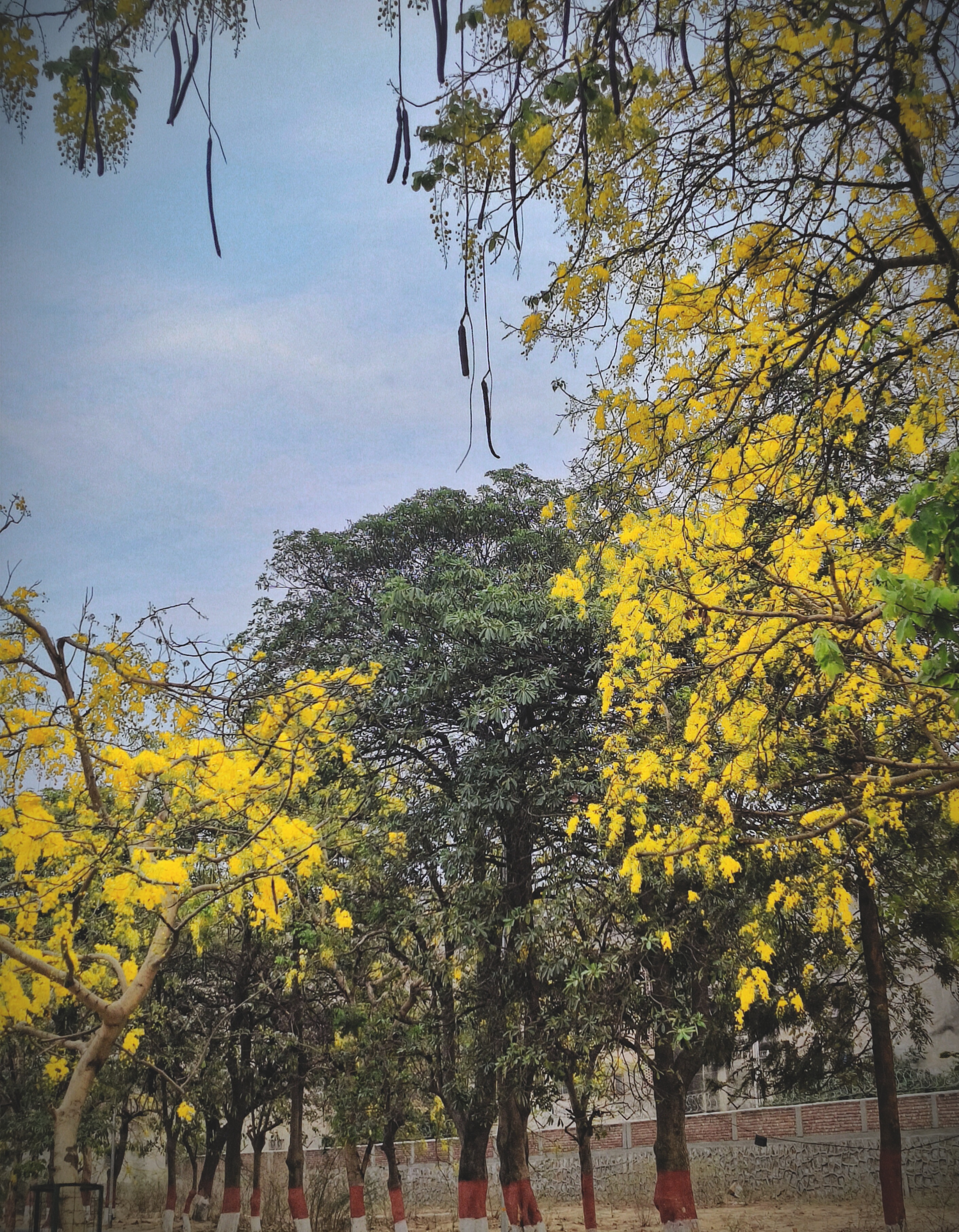 EMPI Business School Campus photo (5) by Sandilya sarma