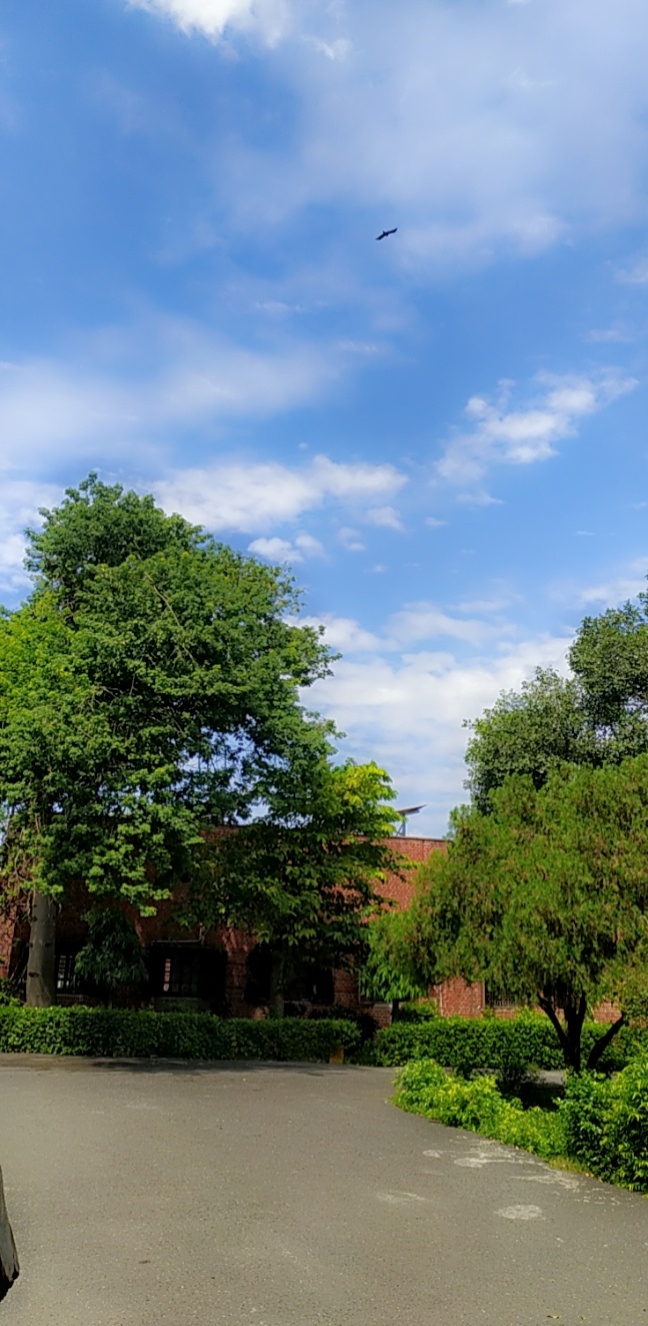Lady Irwin College Infrastructure & Academic Building photo (1) by Chitra Shah