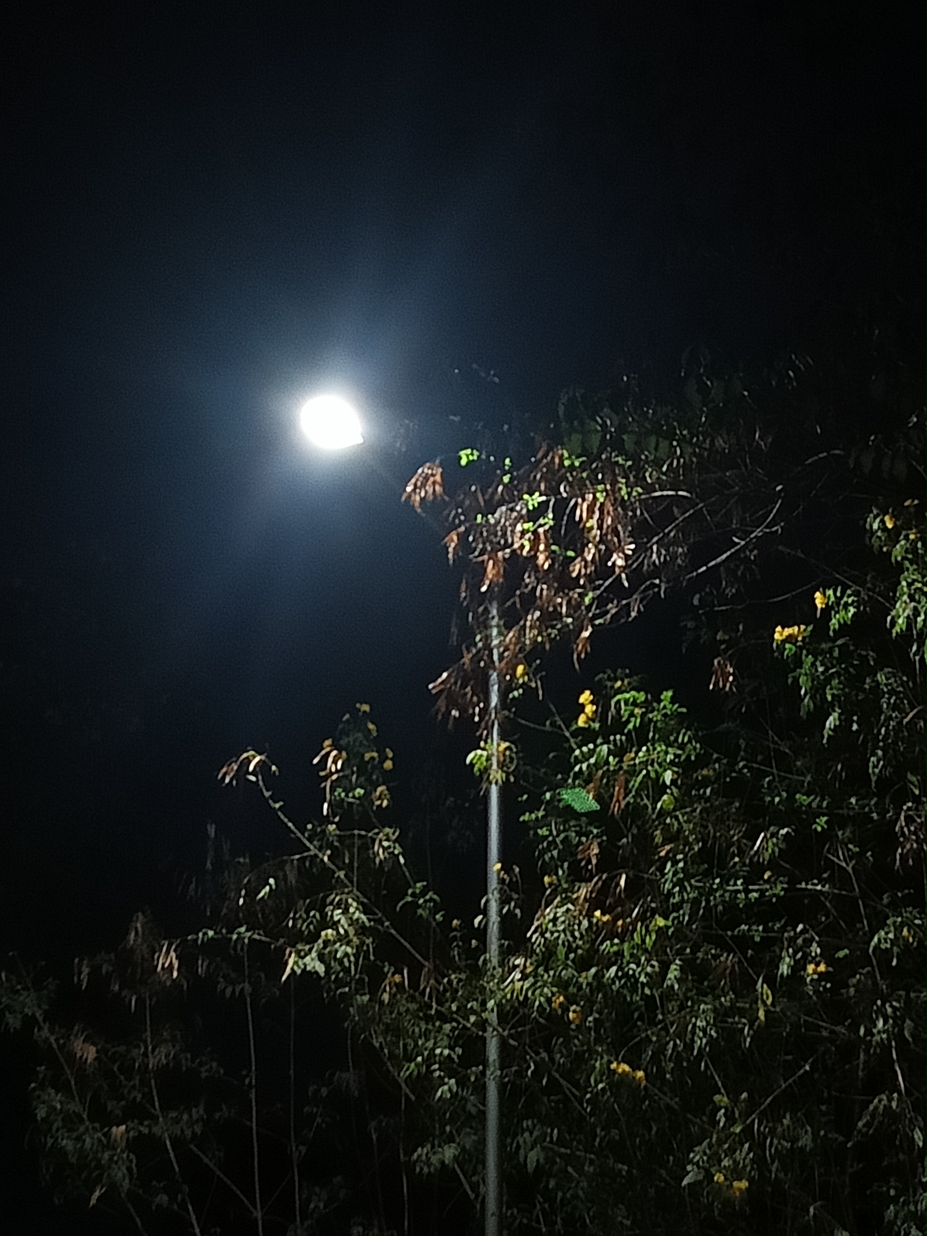 Marathwada Mitramandal's Institute of Technology Lohgaon Campus photo (4) by Harsh Wattamwar
