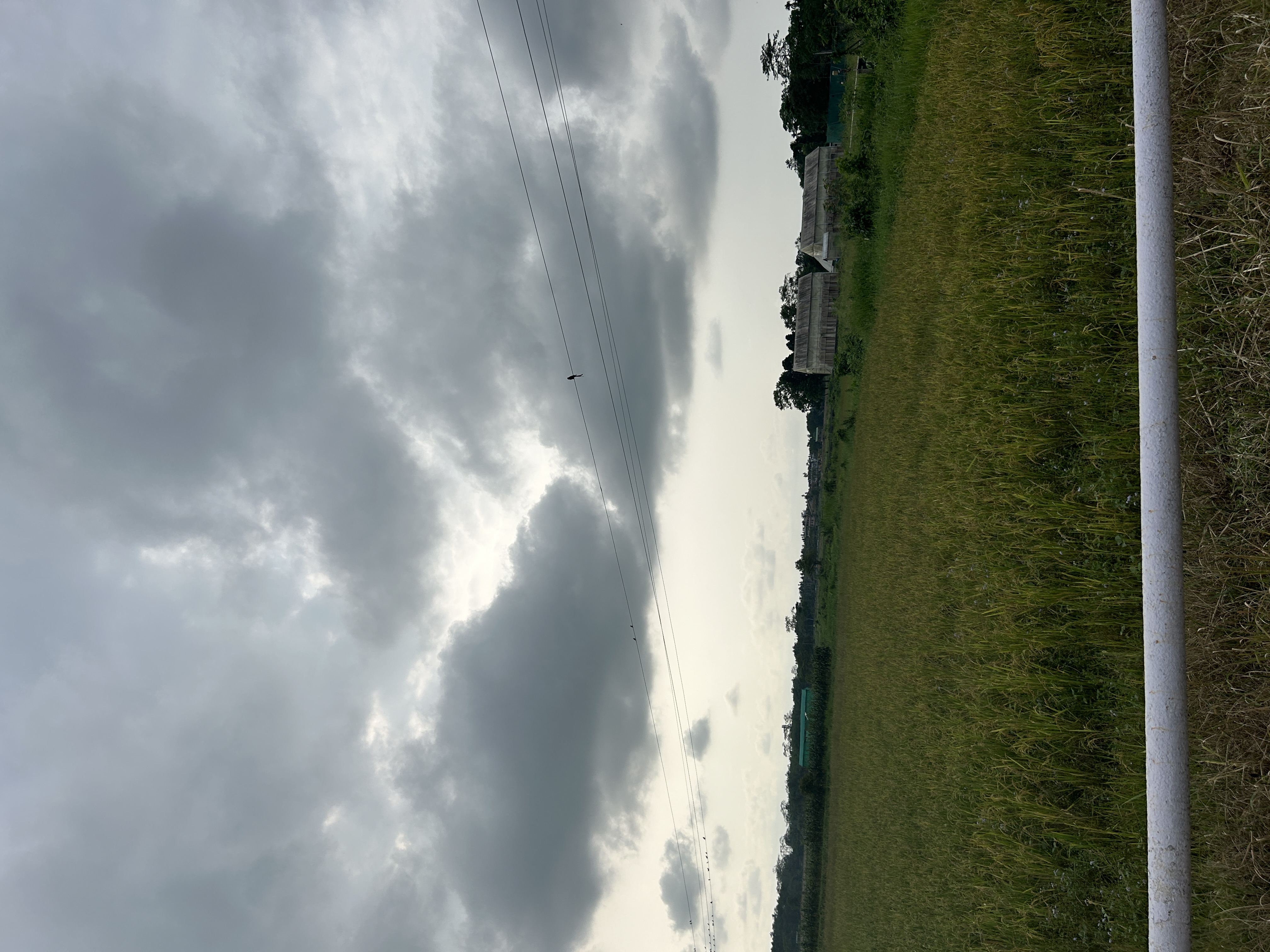 Assam Agricultural University Jorhat Campus photo (18) by Badanginee