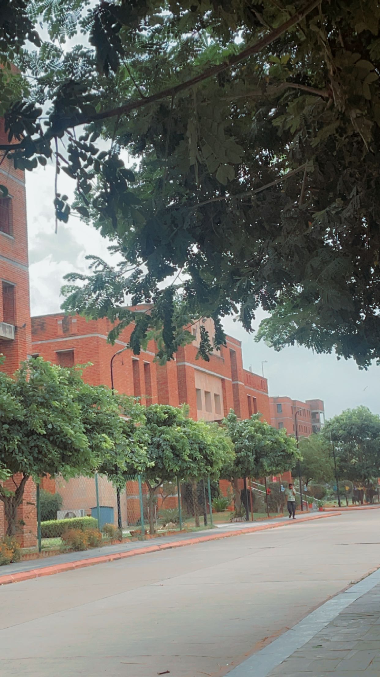 JECRC University, School of Sciences Jaipur Campus photo (12) by Kashish bardgota