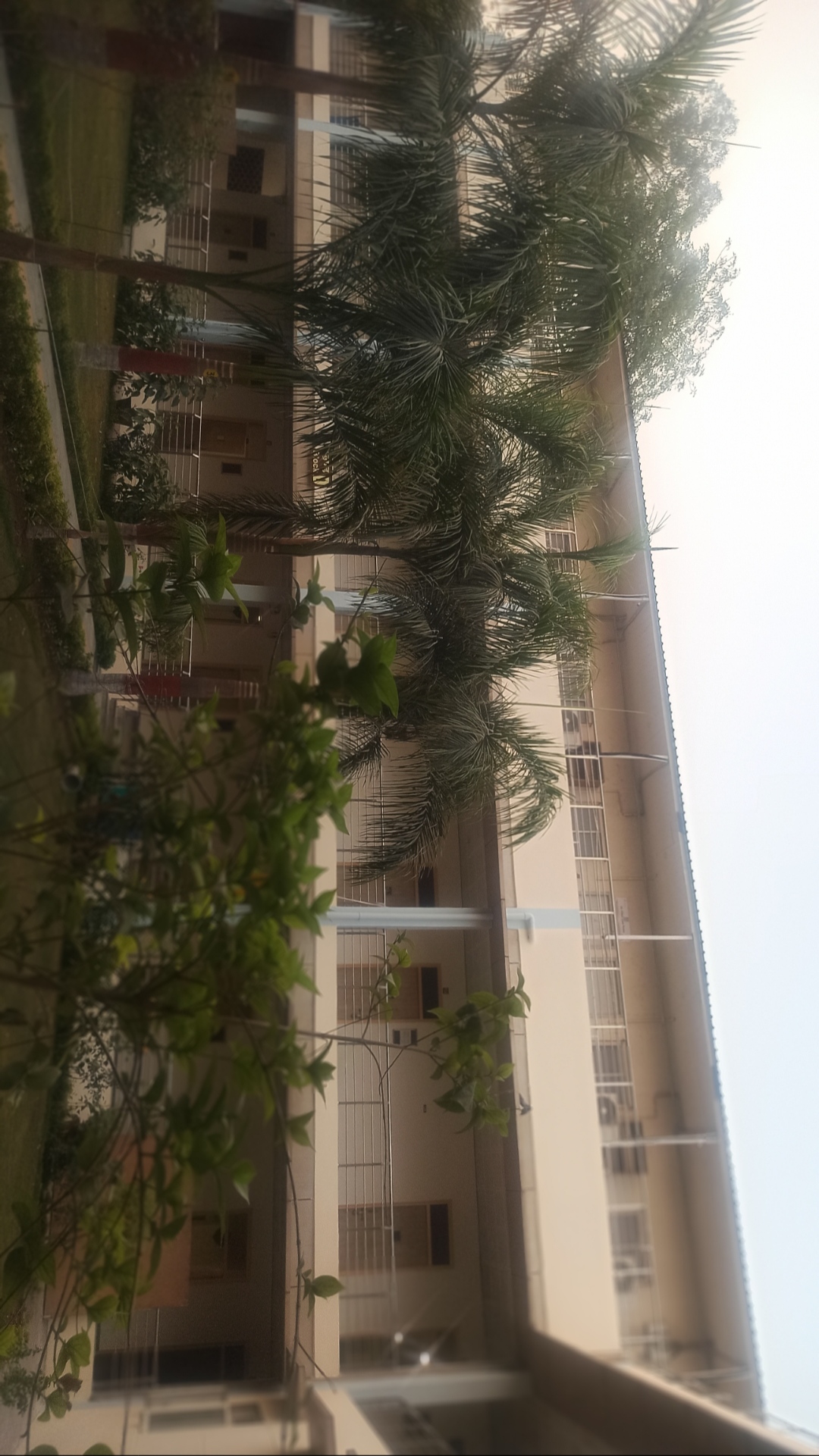 PGDAV Evening College Campus photo (5) by Philip
