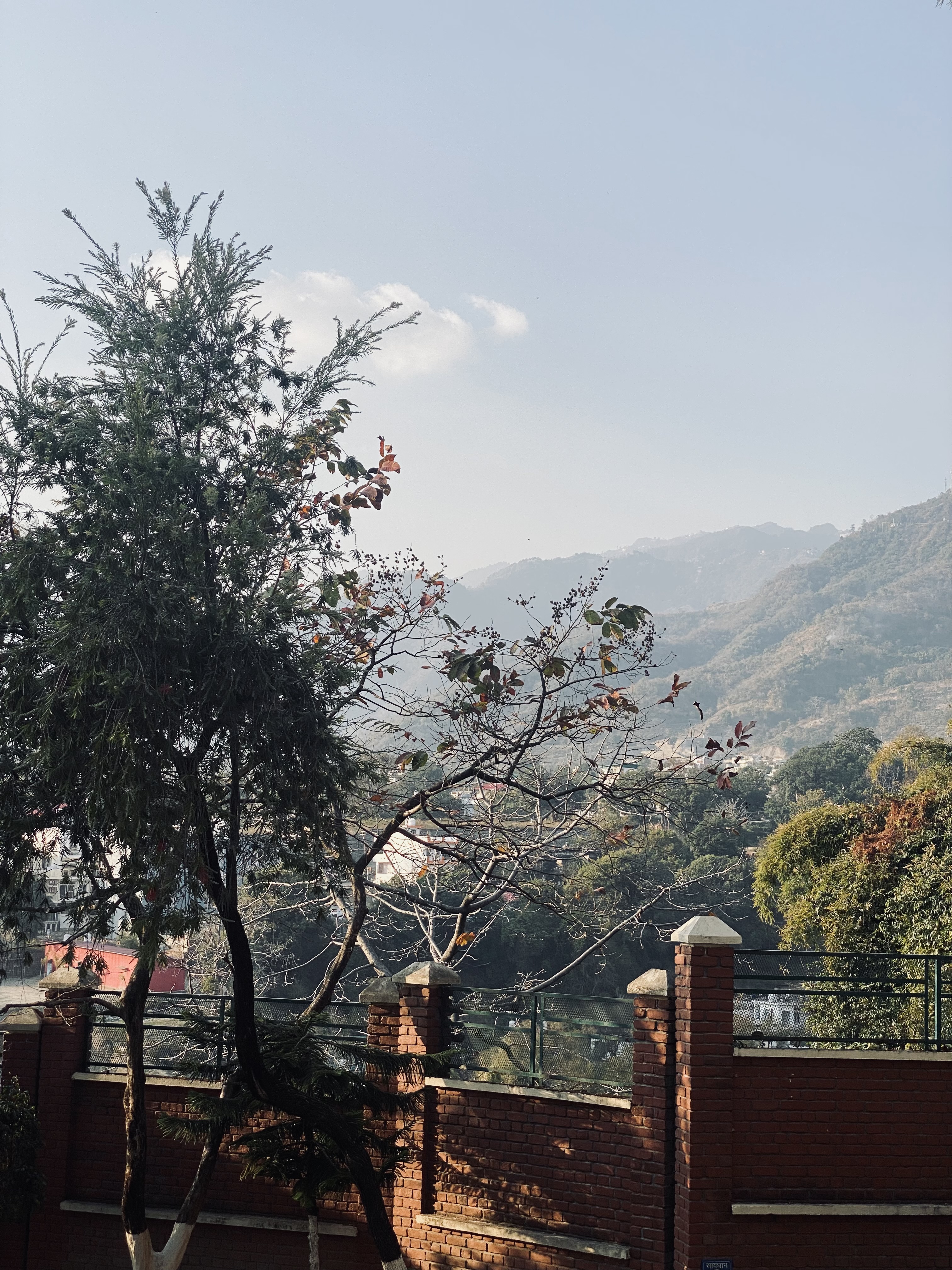 DIT University Dehradun Campus photo (13) by Deergha Tayal