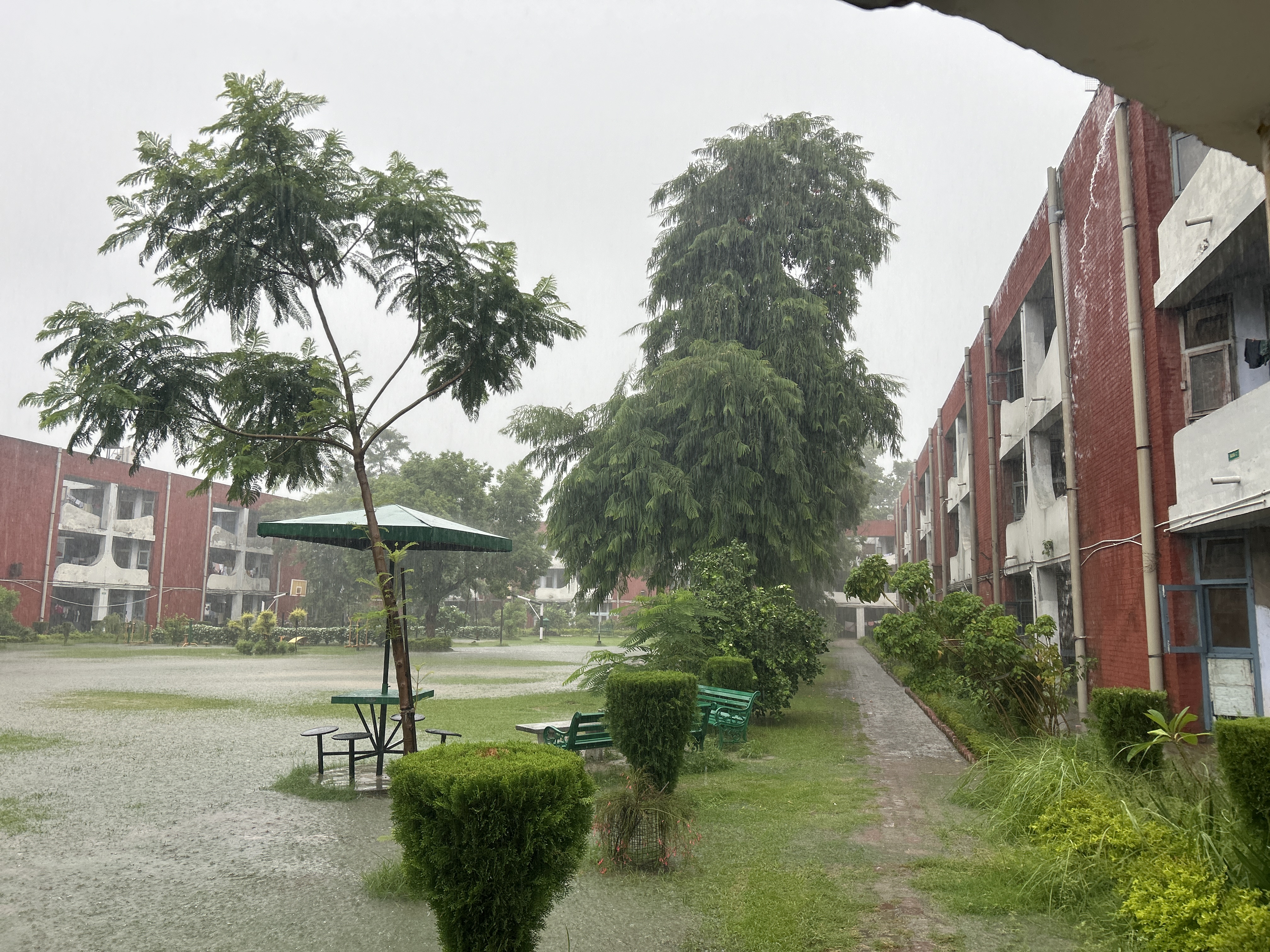 Panjab University Chandigarh Infrastructure & Academic Building photo (13) by Aarzoo Dhiman
