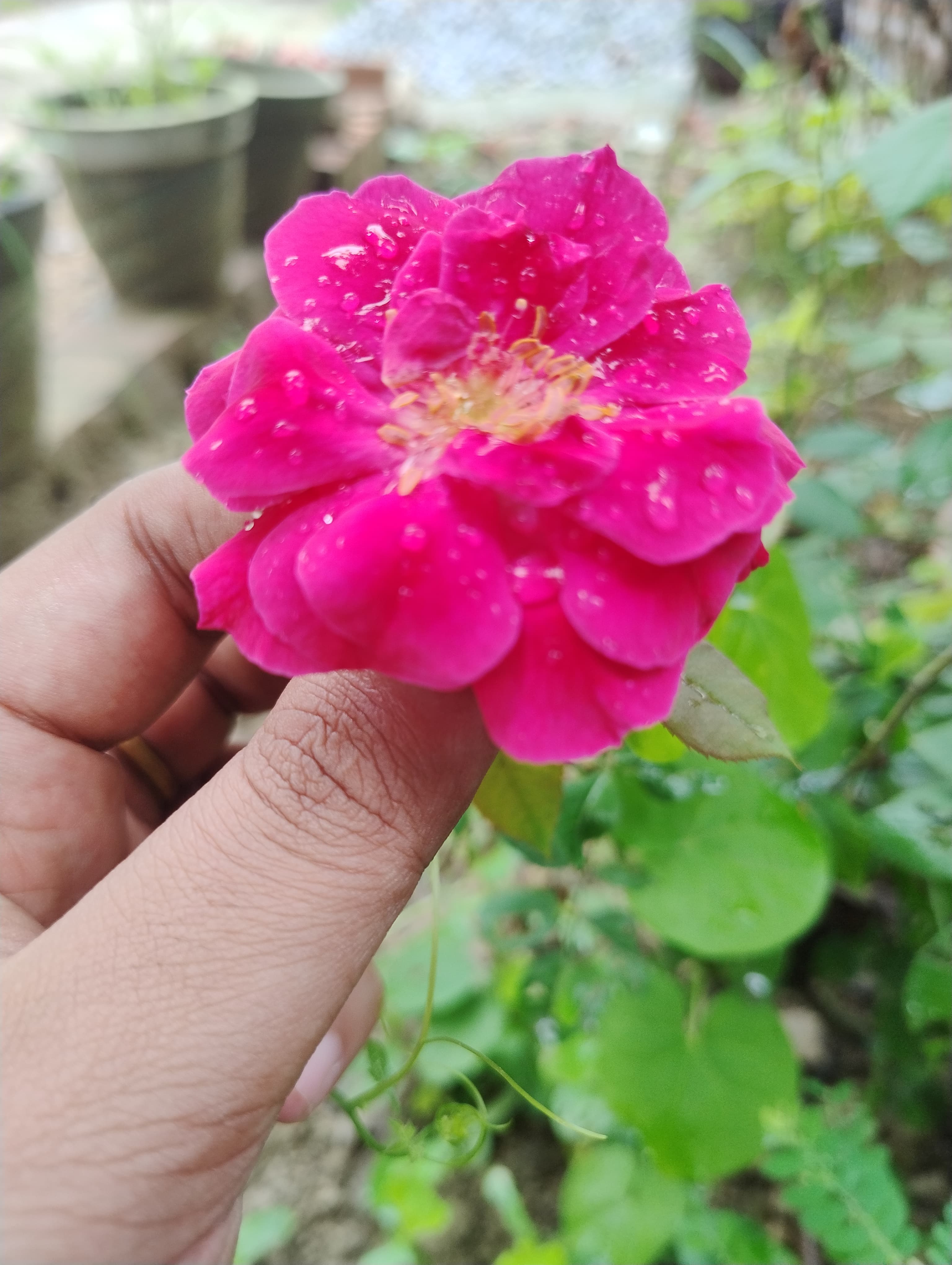SHUATS Events photo (15) by Anushree Bhojgaria