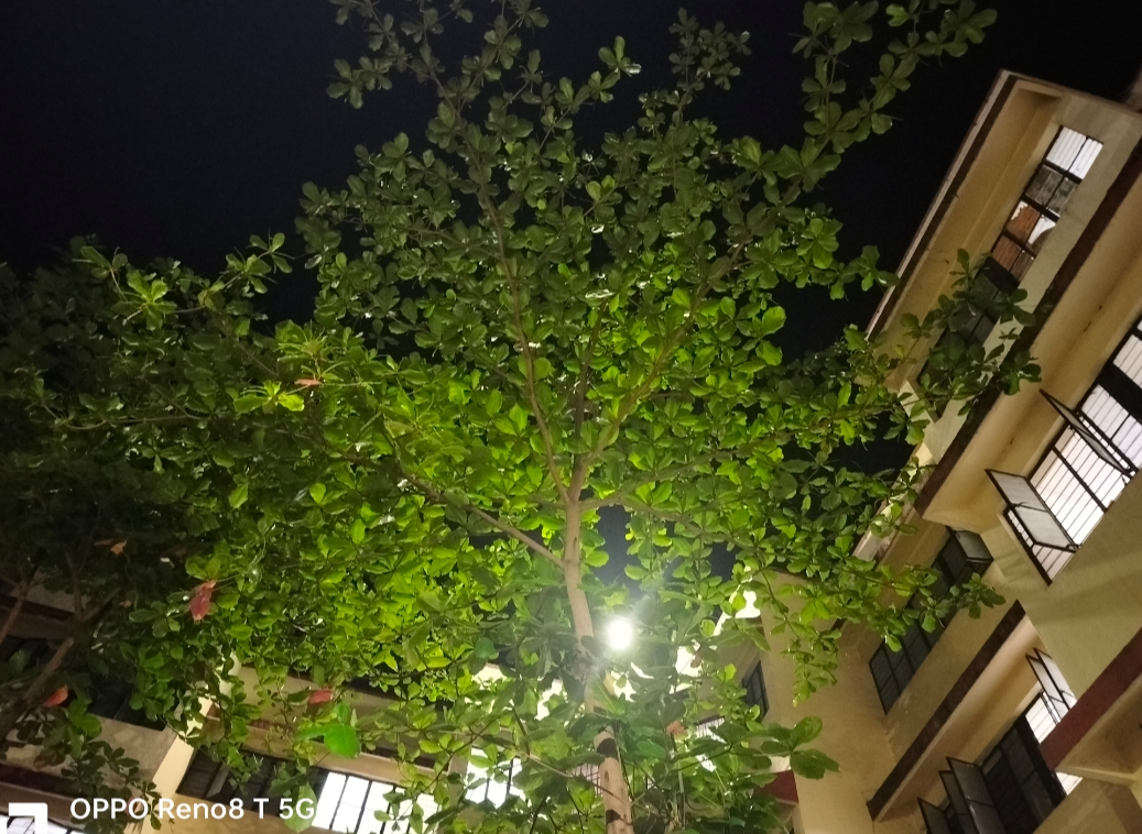 Bharati Vidyapeeth Hostels photo (9) by Aman yadav