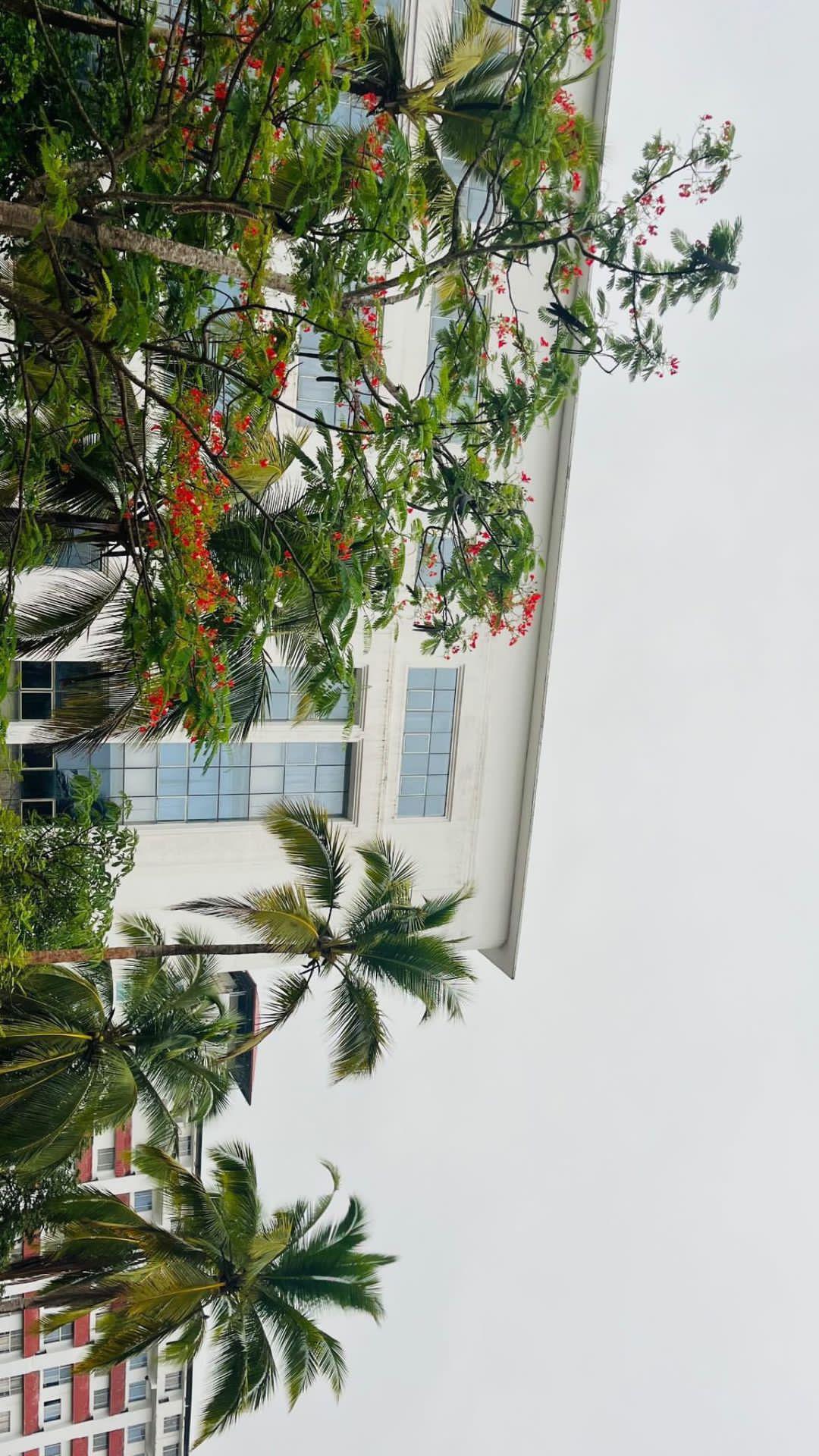 Kannur Medical College Anjarakandy Campus photo (1) by Fathima sabaha kp