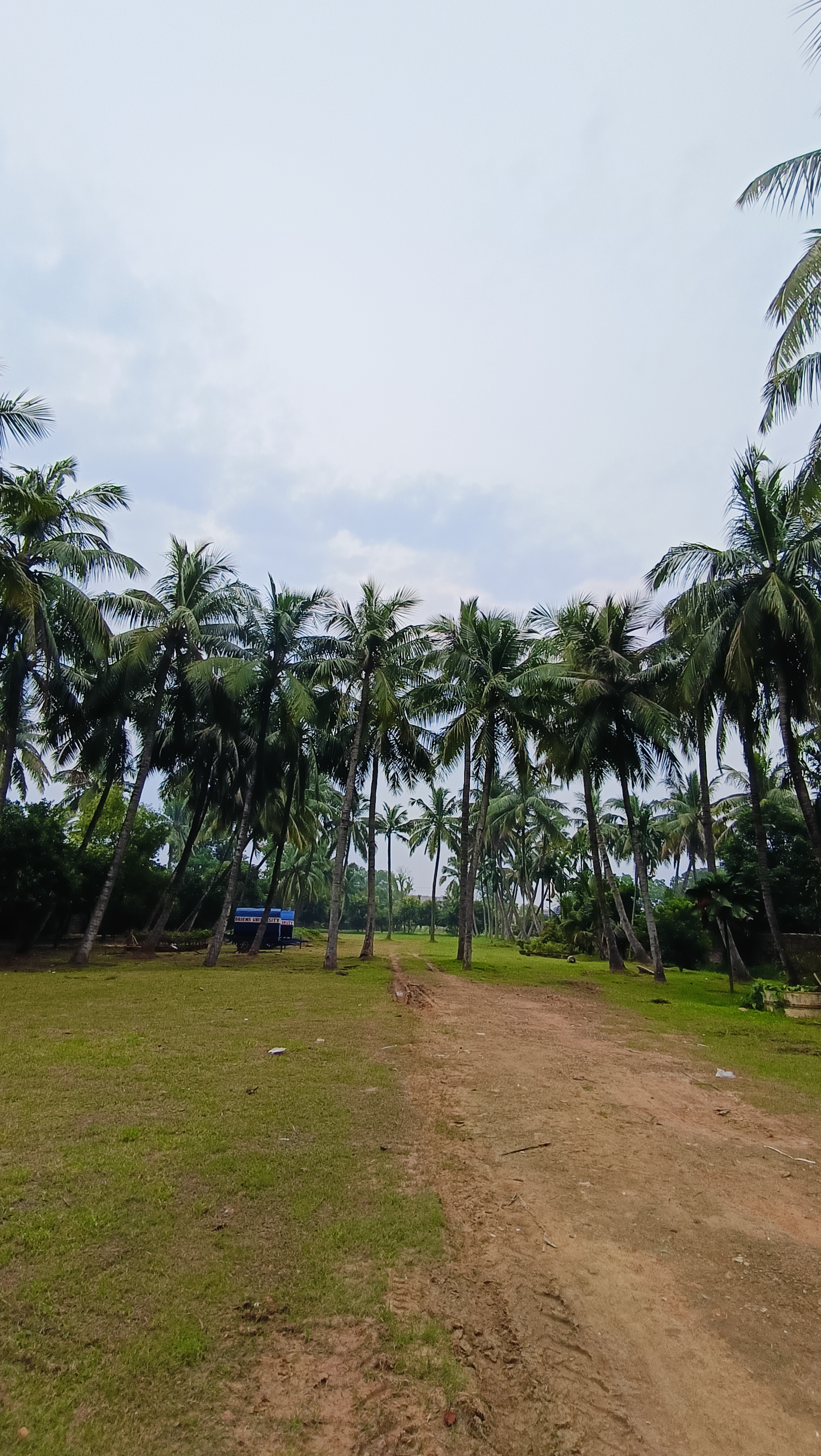 DRIEMS University Campus photo (17) by Nitish Kumar Sahoo