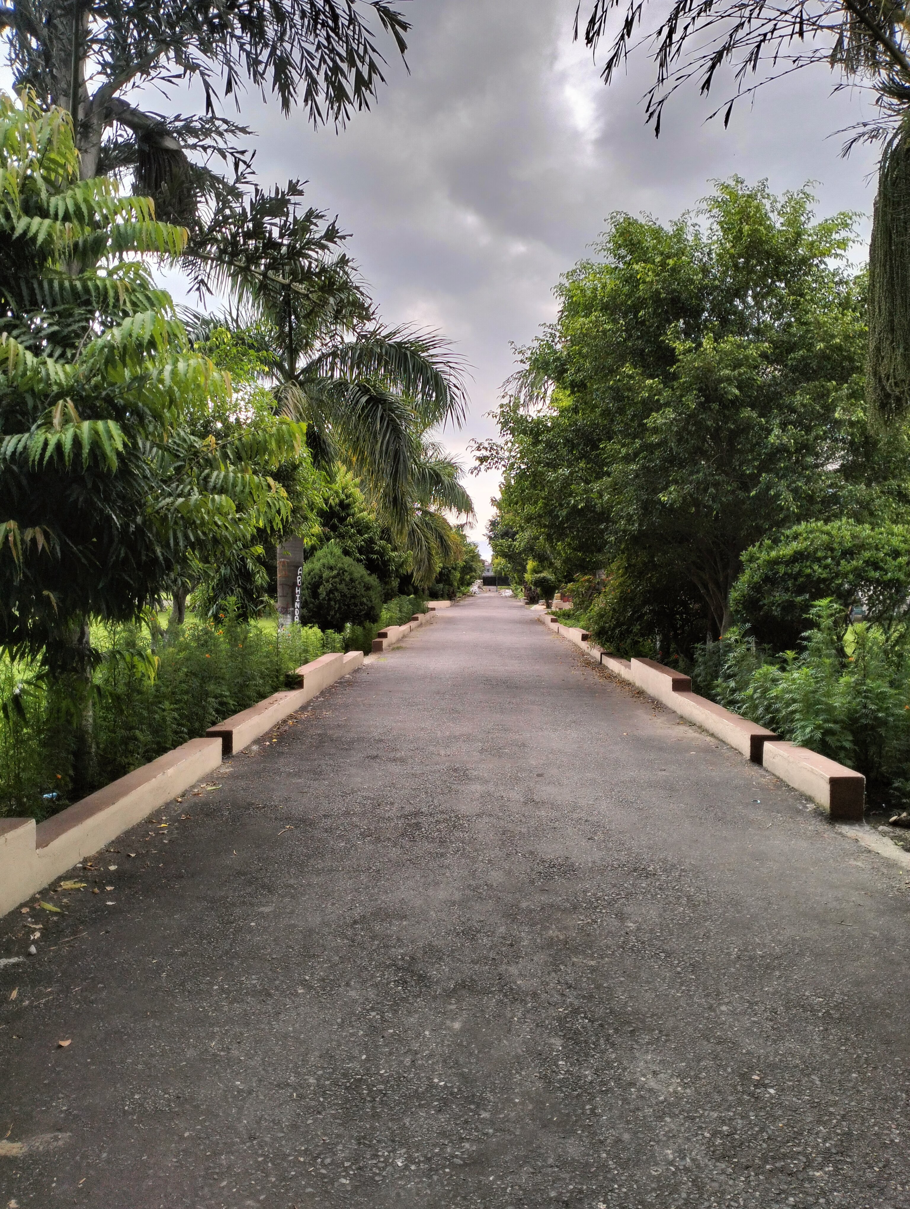 JBIT Dehradun Campus photo (18) by Vanshika Gupta