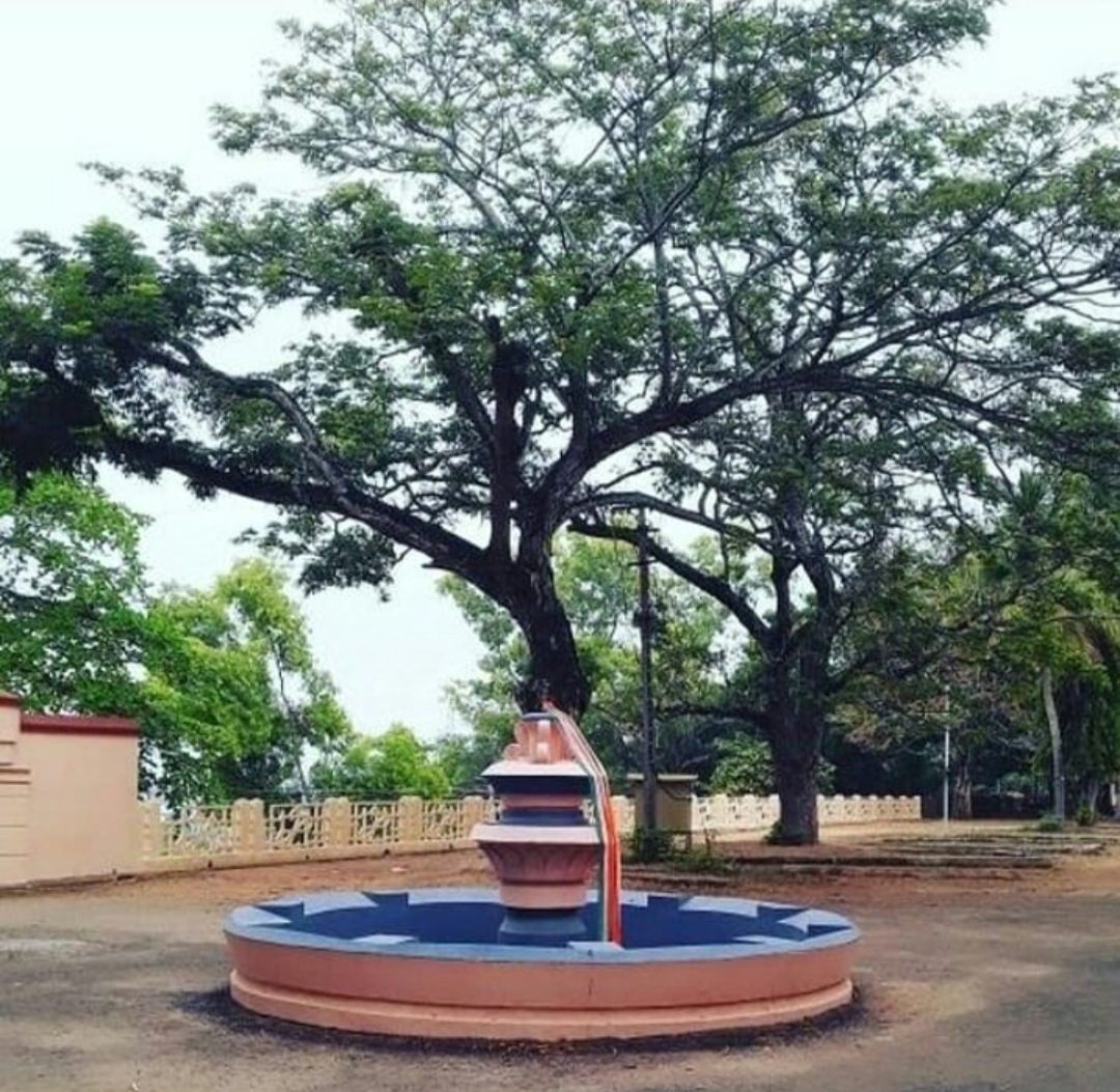 Mahatma Gandhi College Thiruvananthapuram Infrastructure & Academic Building photo (5) by SARIKA G S