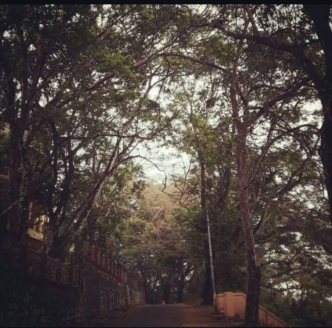 Mahatma Gandhi College Thiruvananthapuram General photo (4) by SARIKA G S