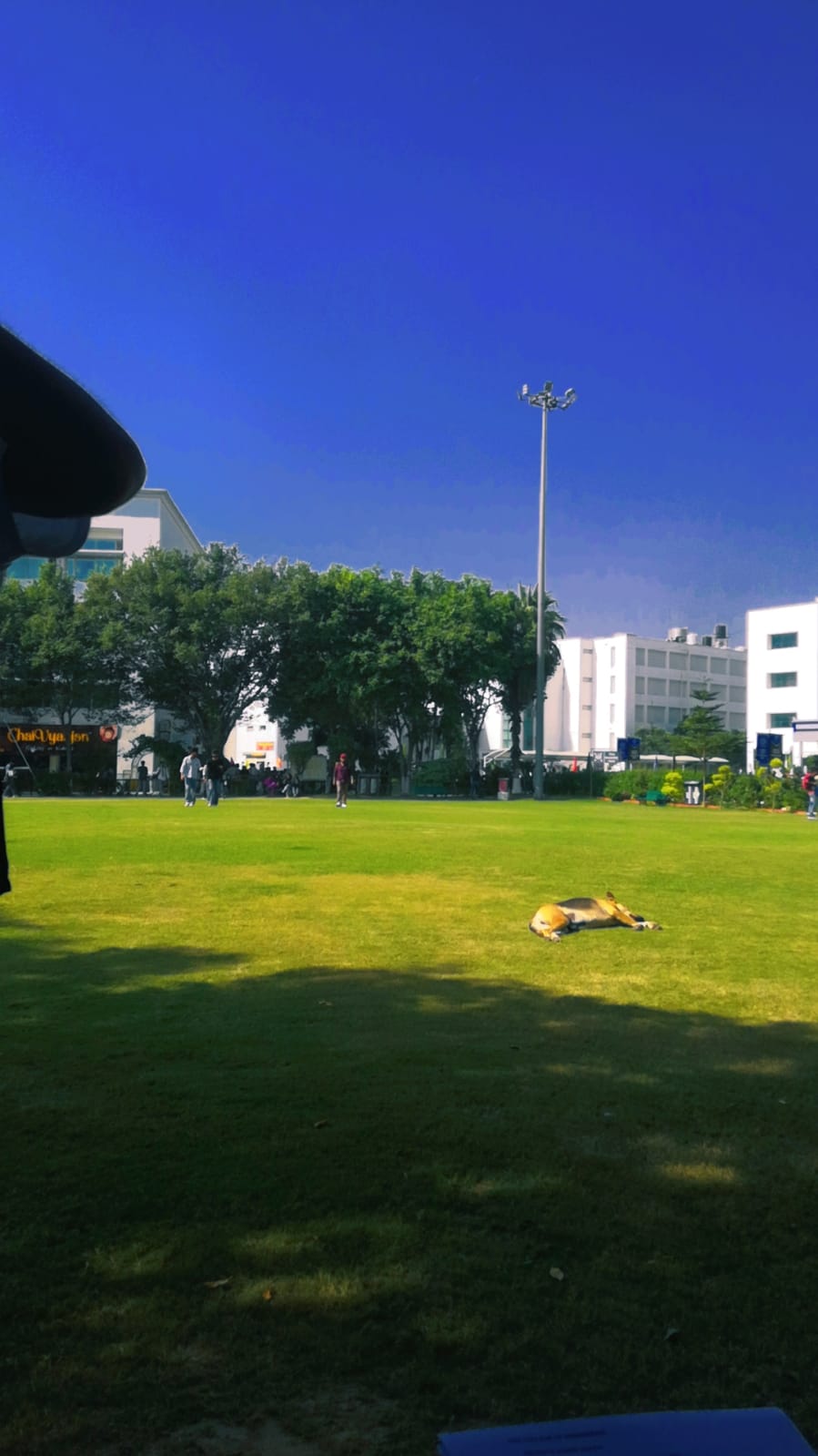 CGC College of Engineering Landran Campus photo (12) by Harish