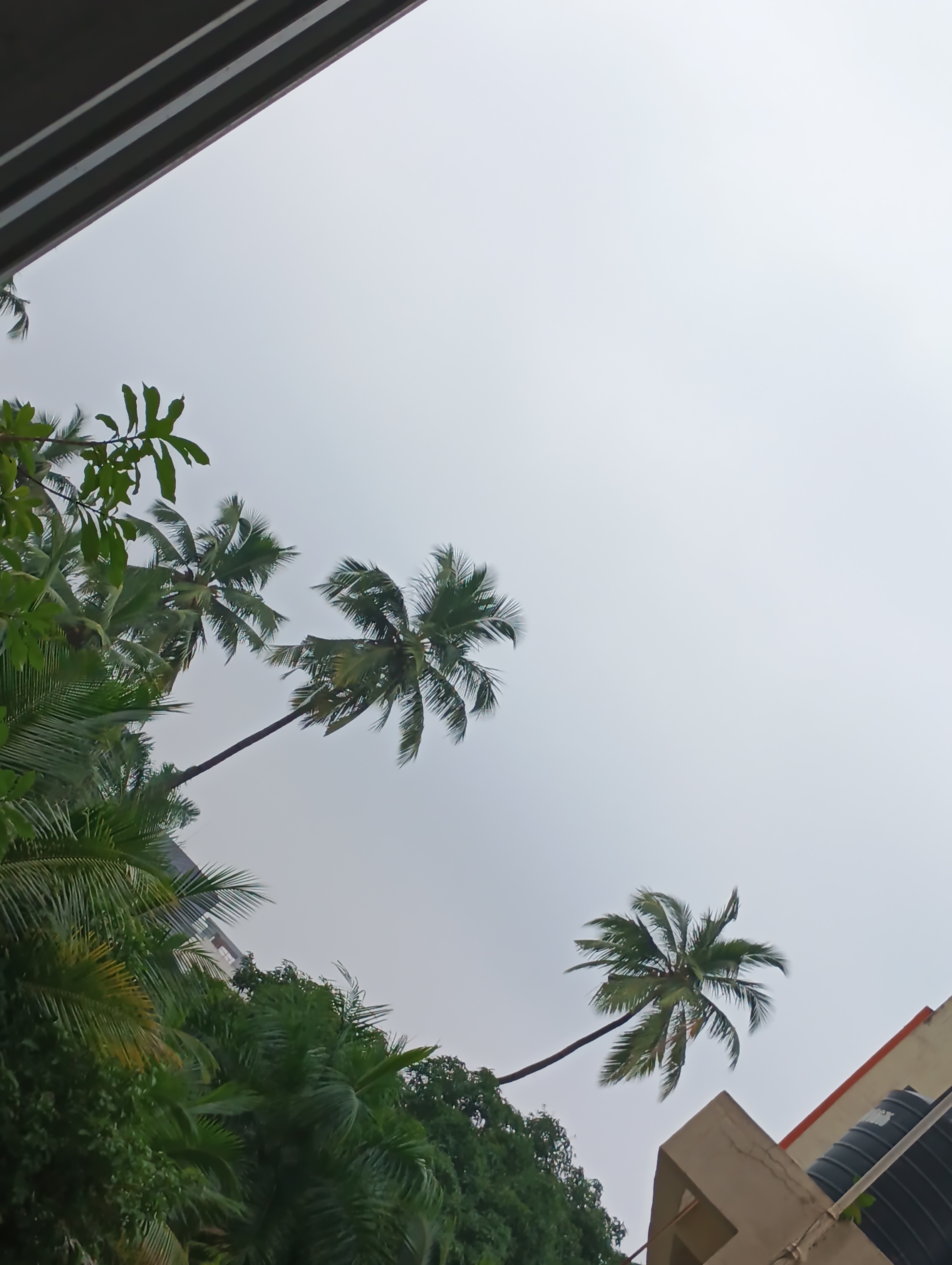 Bhavan's College Mumbai Infrastructure & Academic Building photo (2) by Gaurav Ashish Dubey
