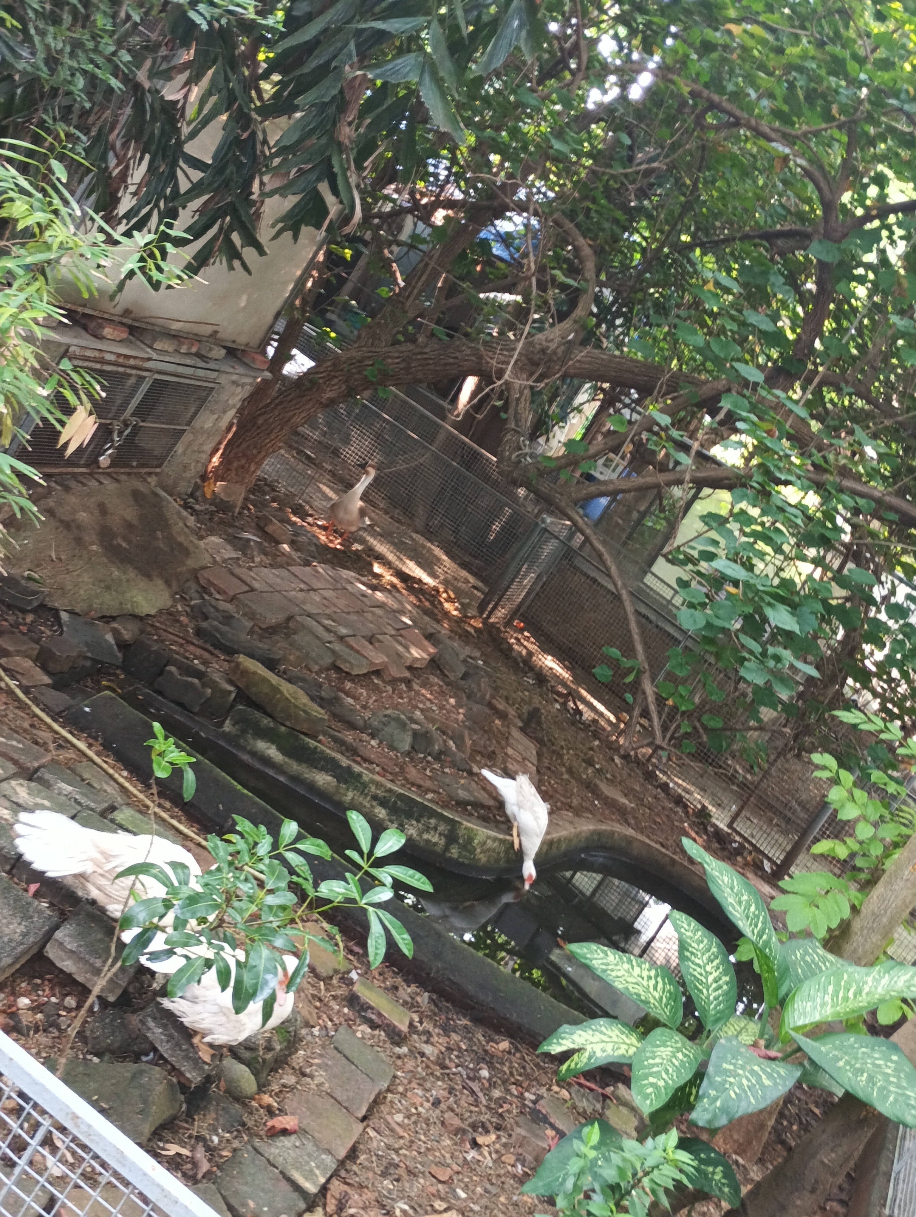 Bhavan's College Mumbai Campus photo (4) by Gaurav Ashish Dubey