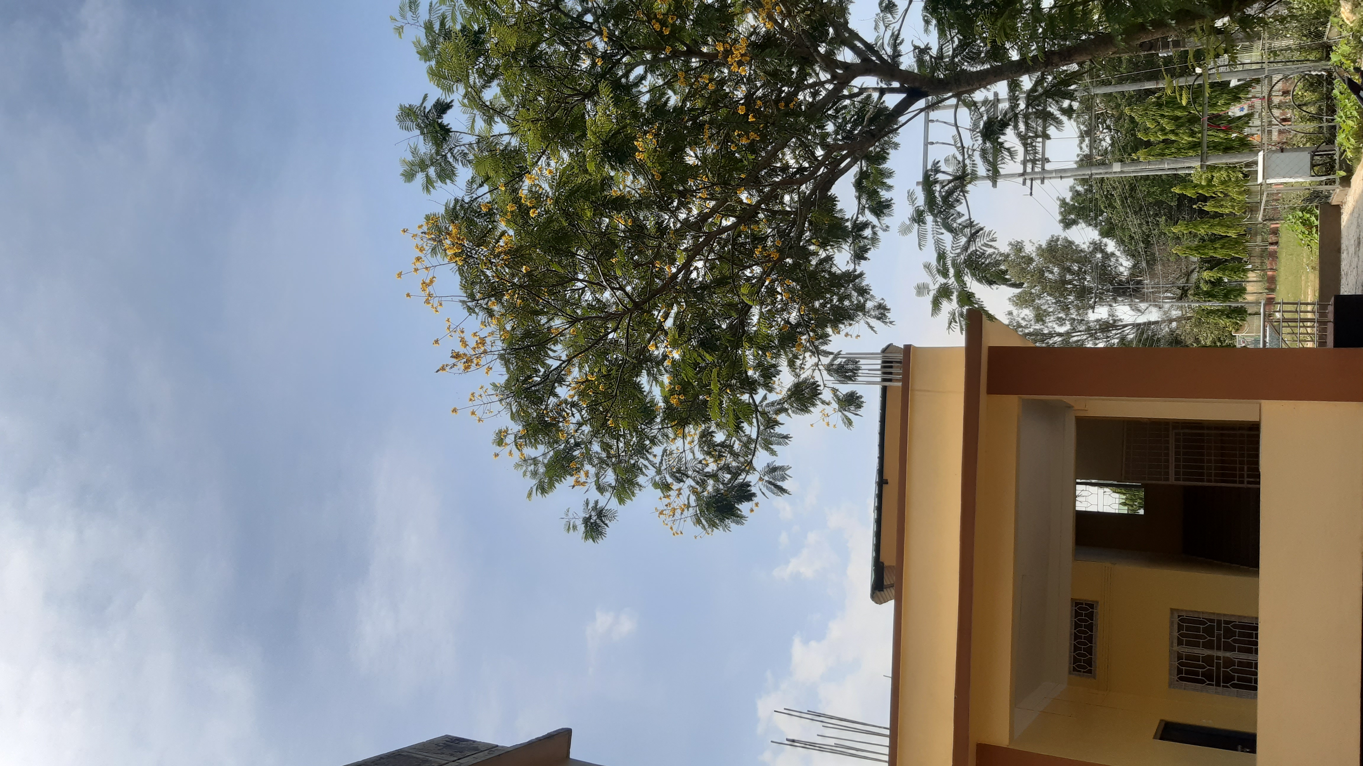 Silchar Medical College Campus photo (6) by Gourab Guha