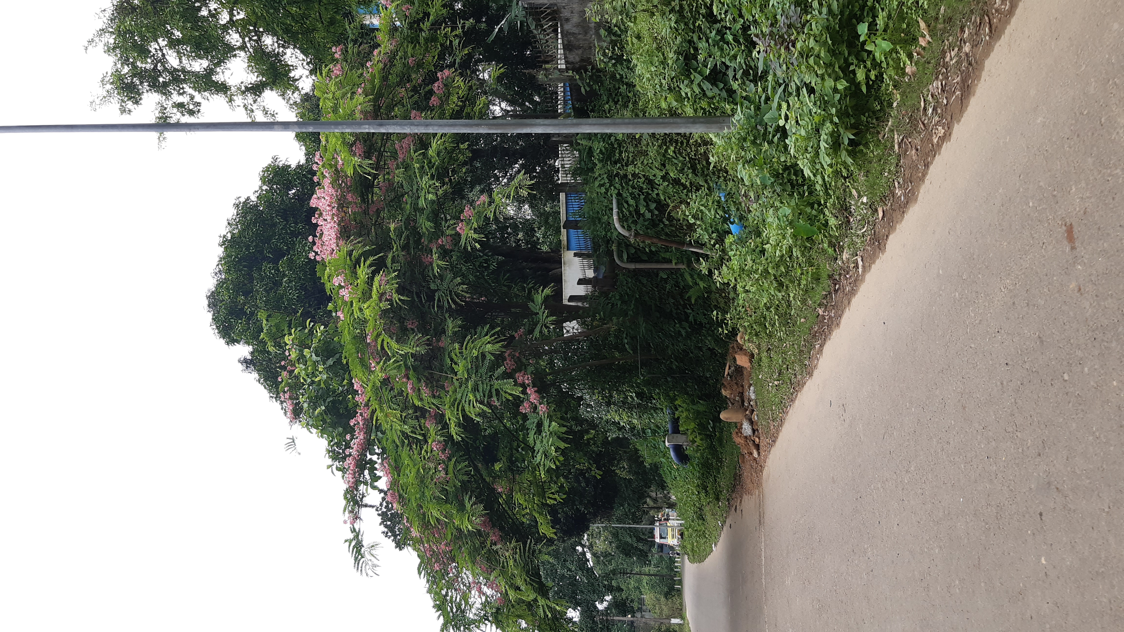 Silchar Medical College Campus photo (3) by Gourab Guha