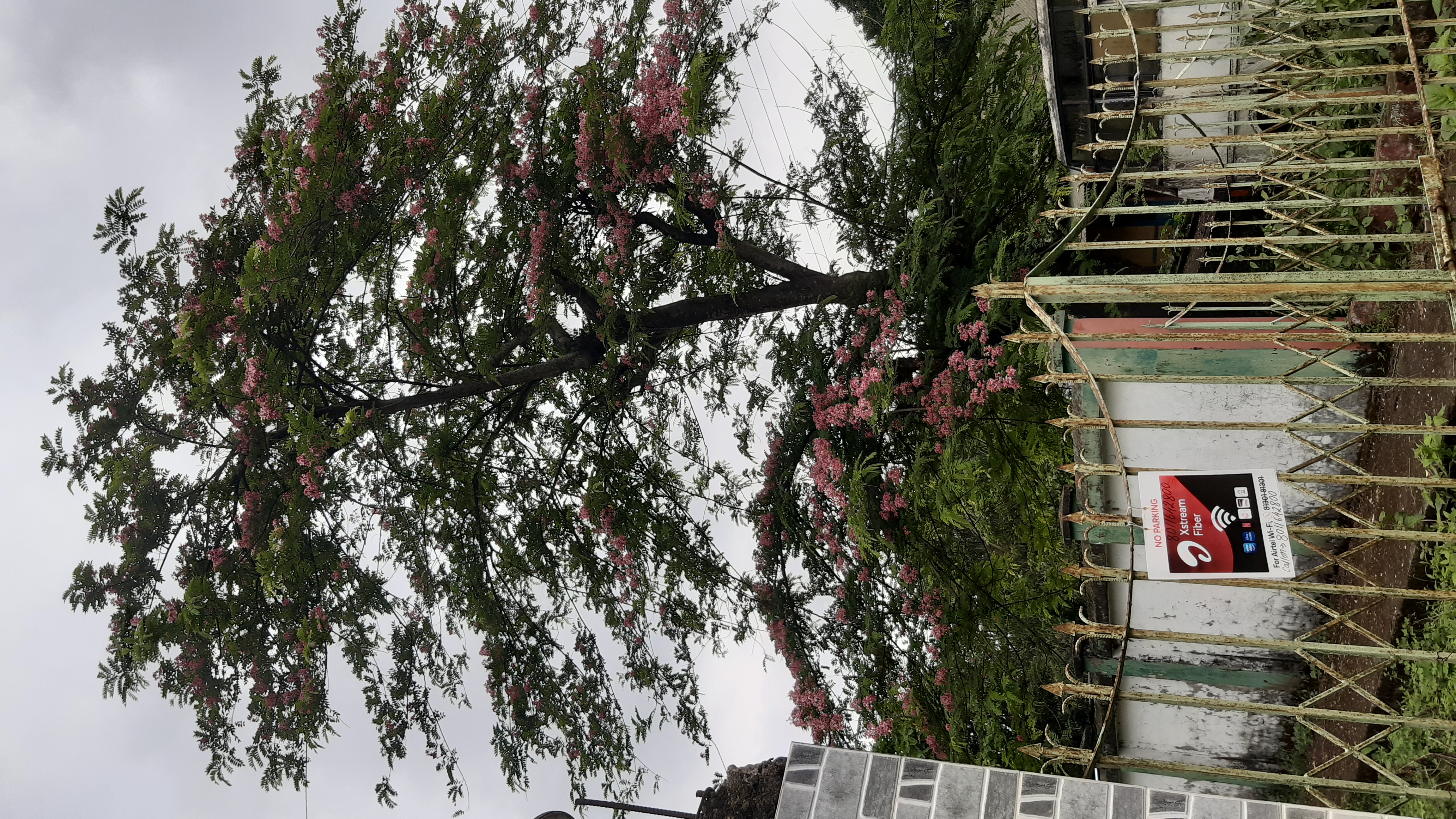 Silchar Medical College Campus photo (4) by Gourab Guha