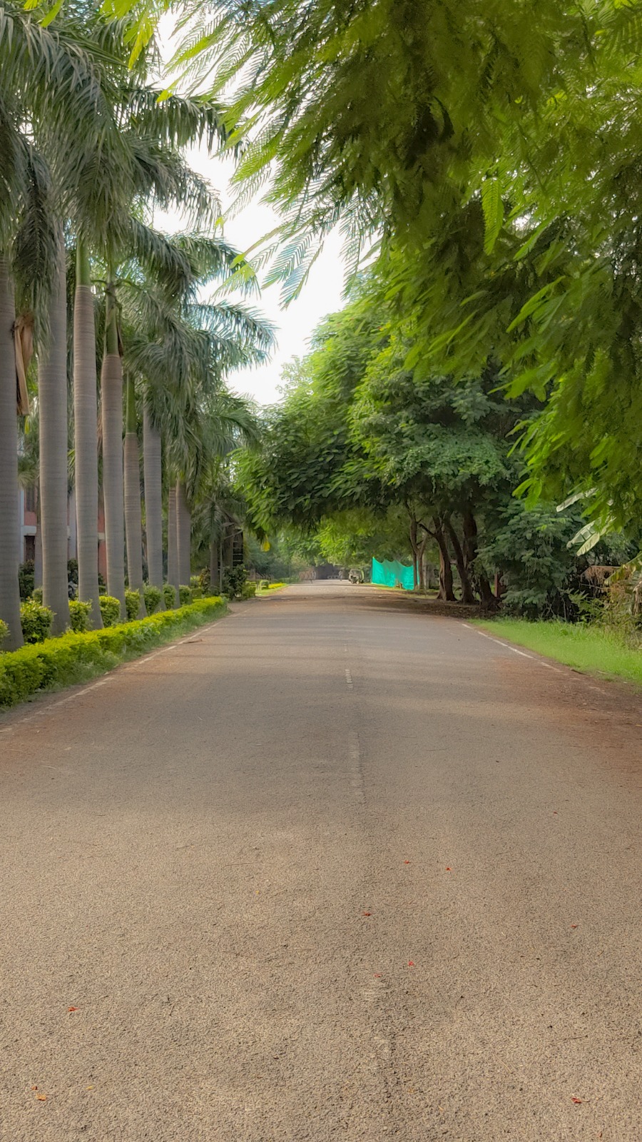 SHUATS Campus photo (13) by Sashwat Tiwari