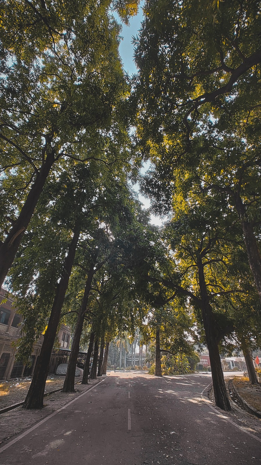 SHUATS Campus photo (11) by Sashwat Tiwari