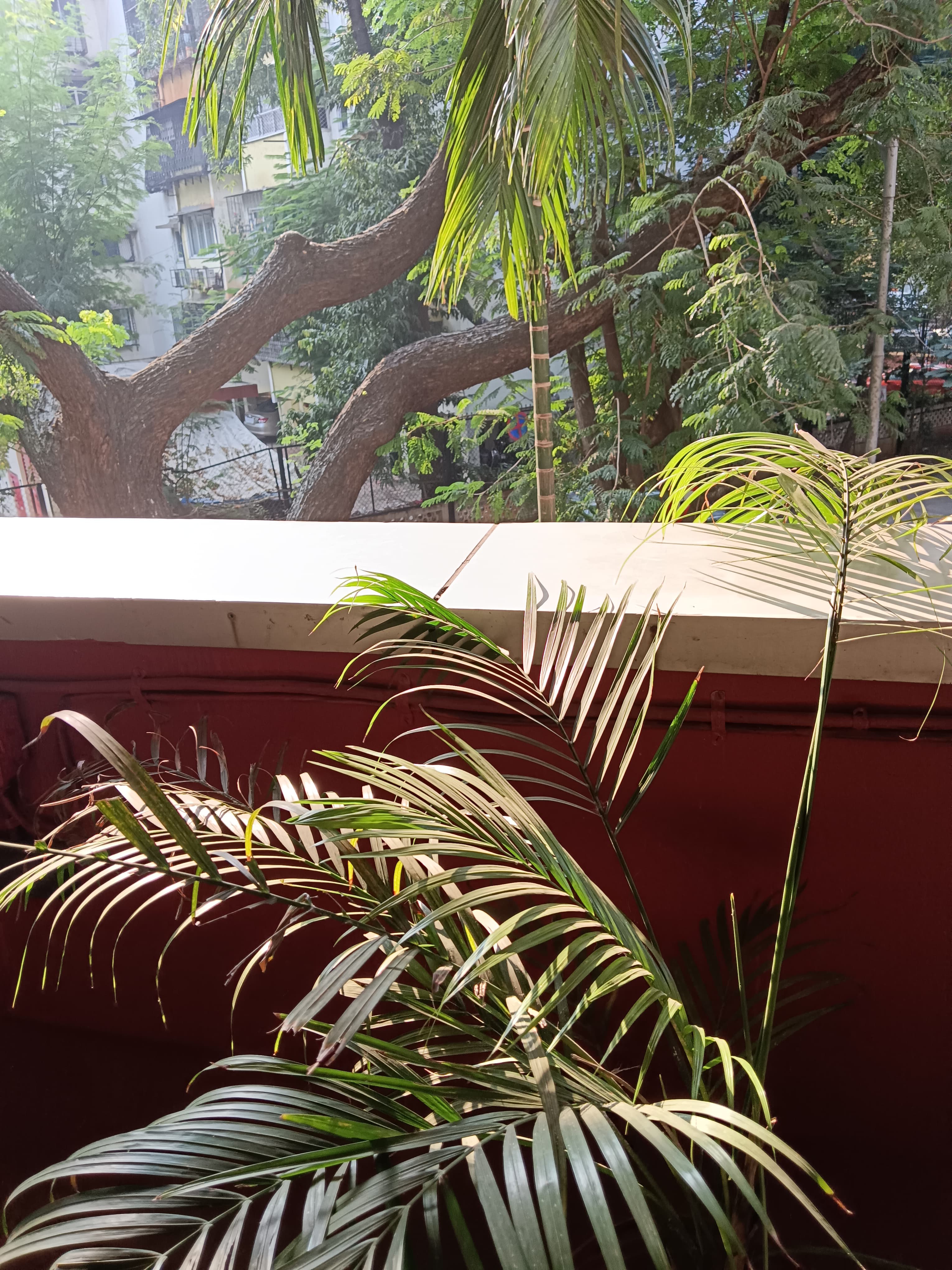 IES's Management College and Research Centre Mumbai Campus photo (6) by Bhavika Shivram Raul