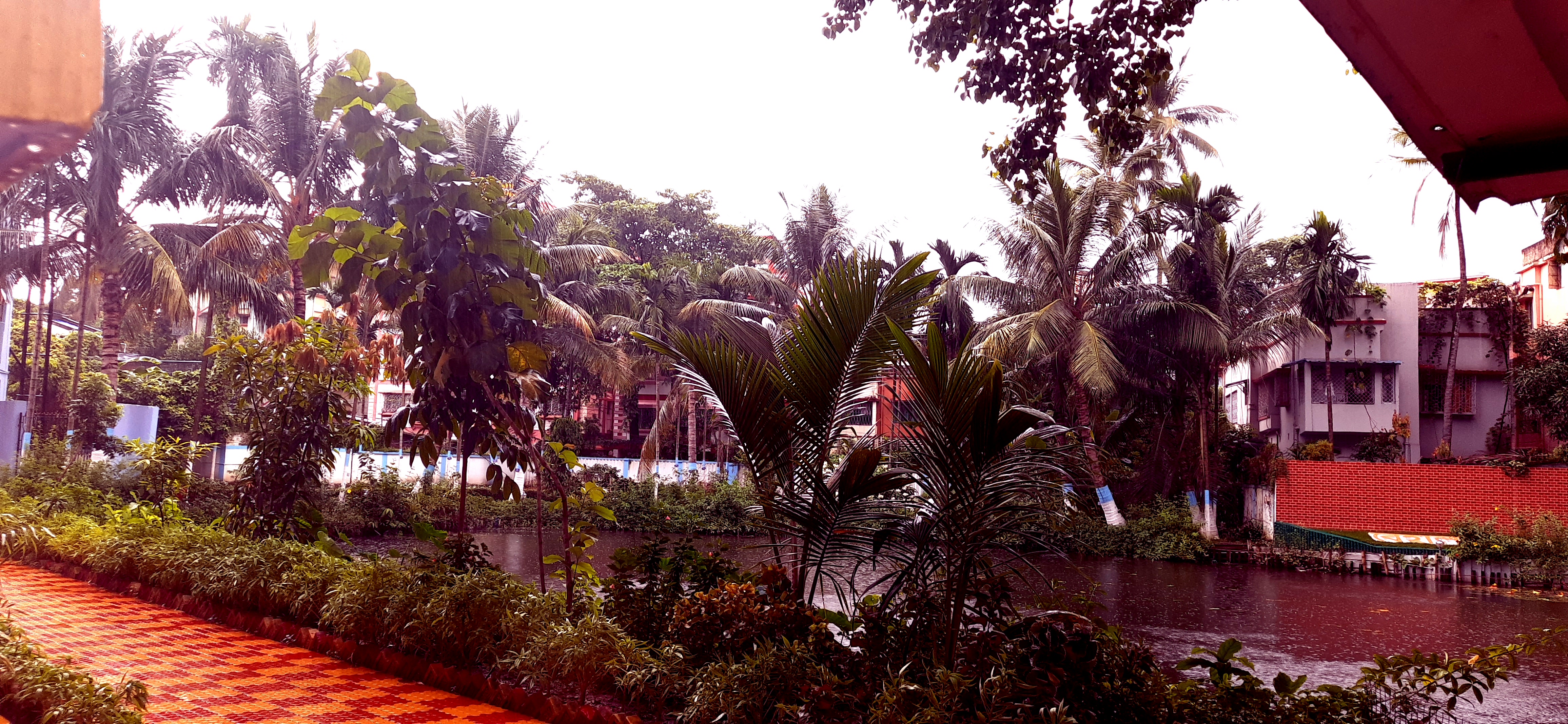 Behala College Kolkata Campus photo (2) by Nirmit Biswas