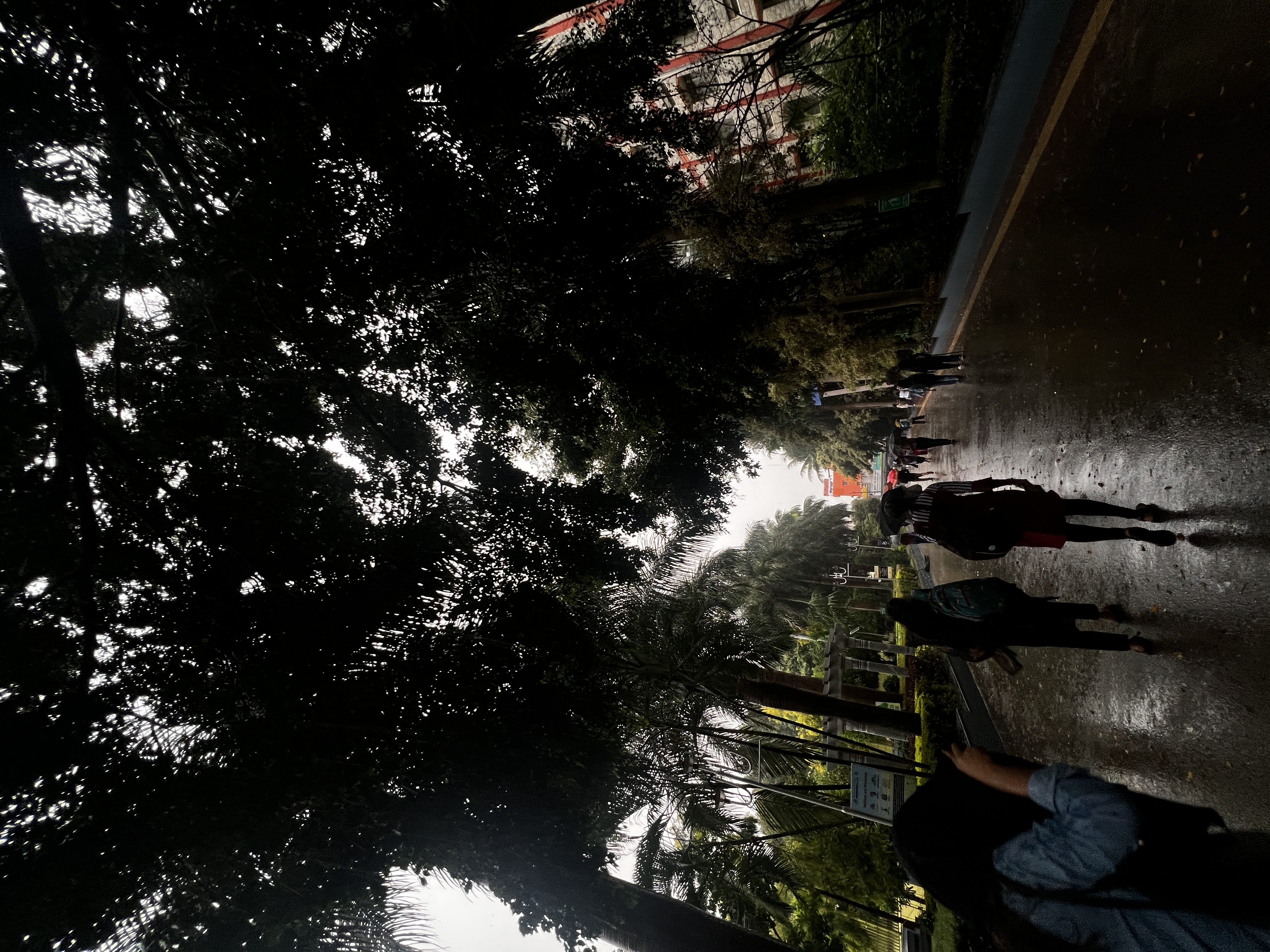 Kristu Jayanti University (Deemed to be University) Events photo (15) by Dhenushri
