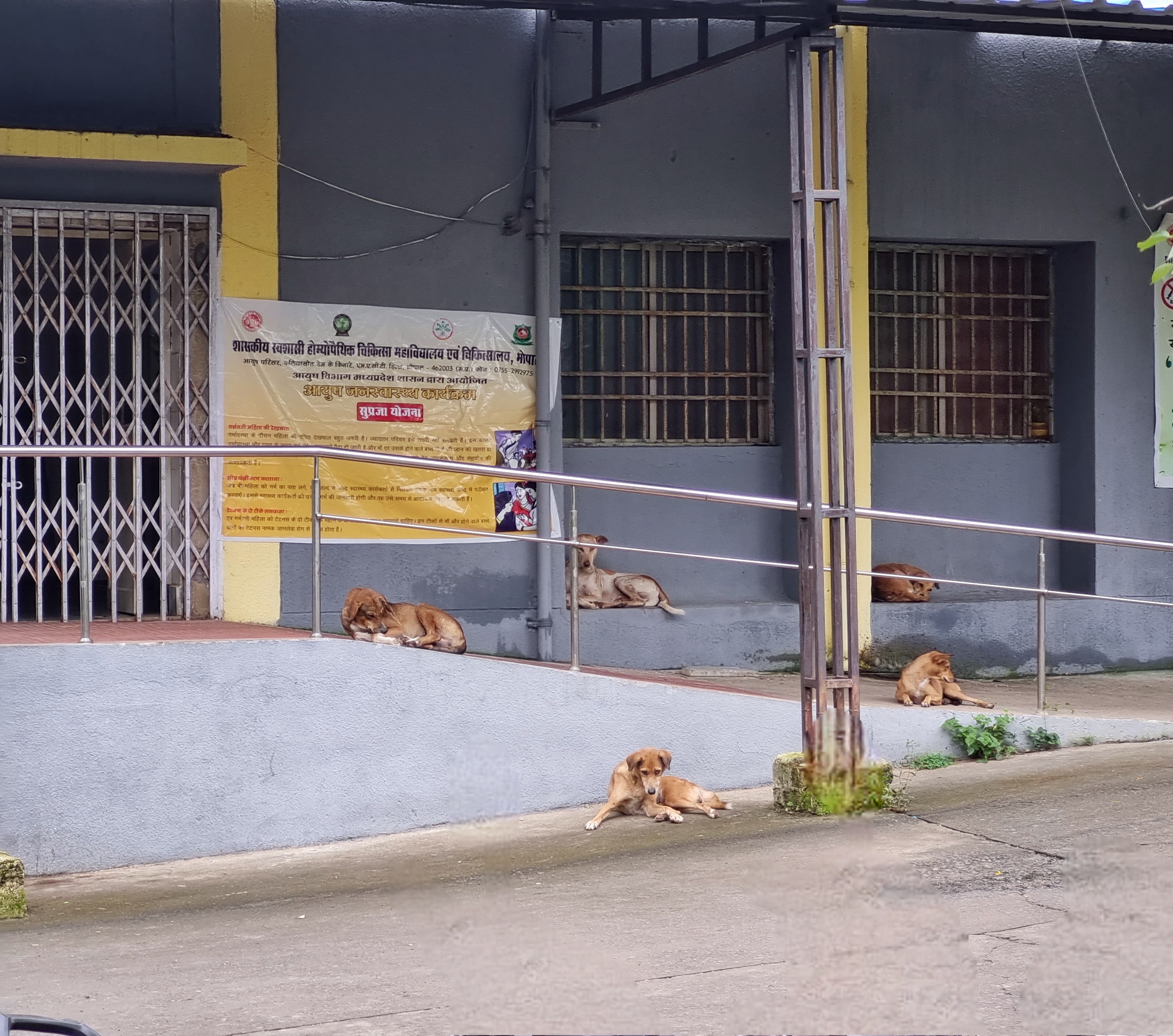 MPMSU Hostels photo (3) by Mohan singh