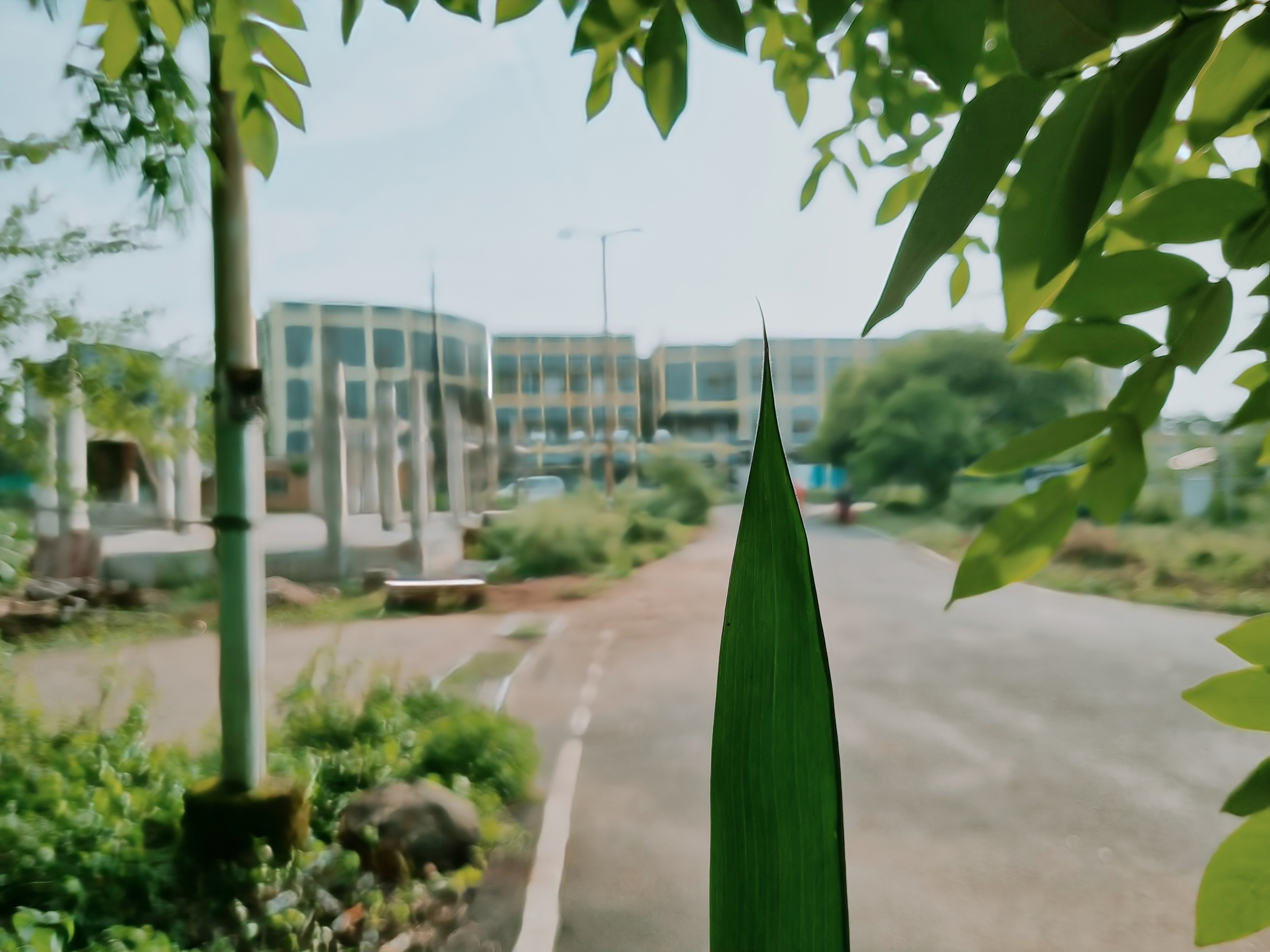 MPMSU Campus photo (11) by Mohan singh