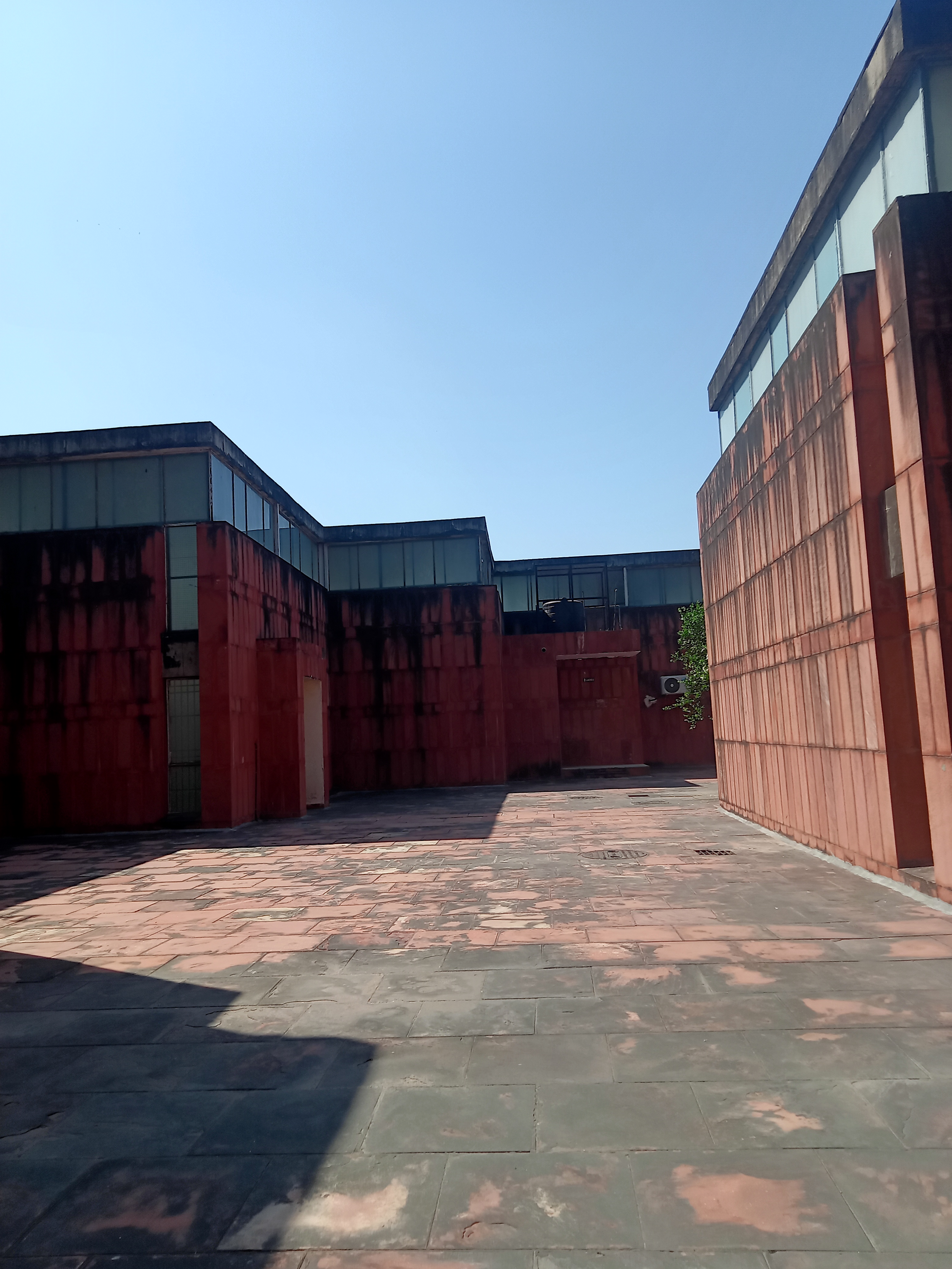 Panjab University Chandigarh Campus photo (6) by Chetna