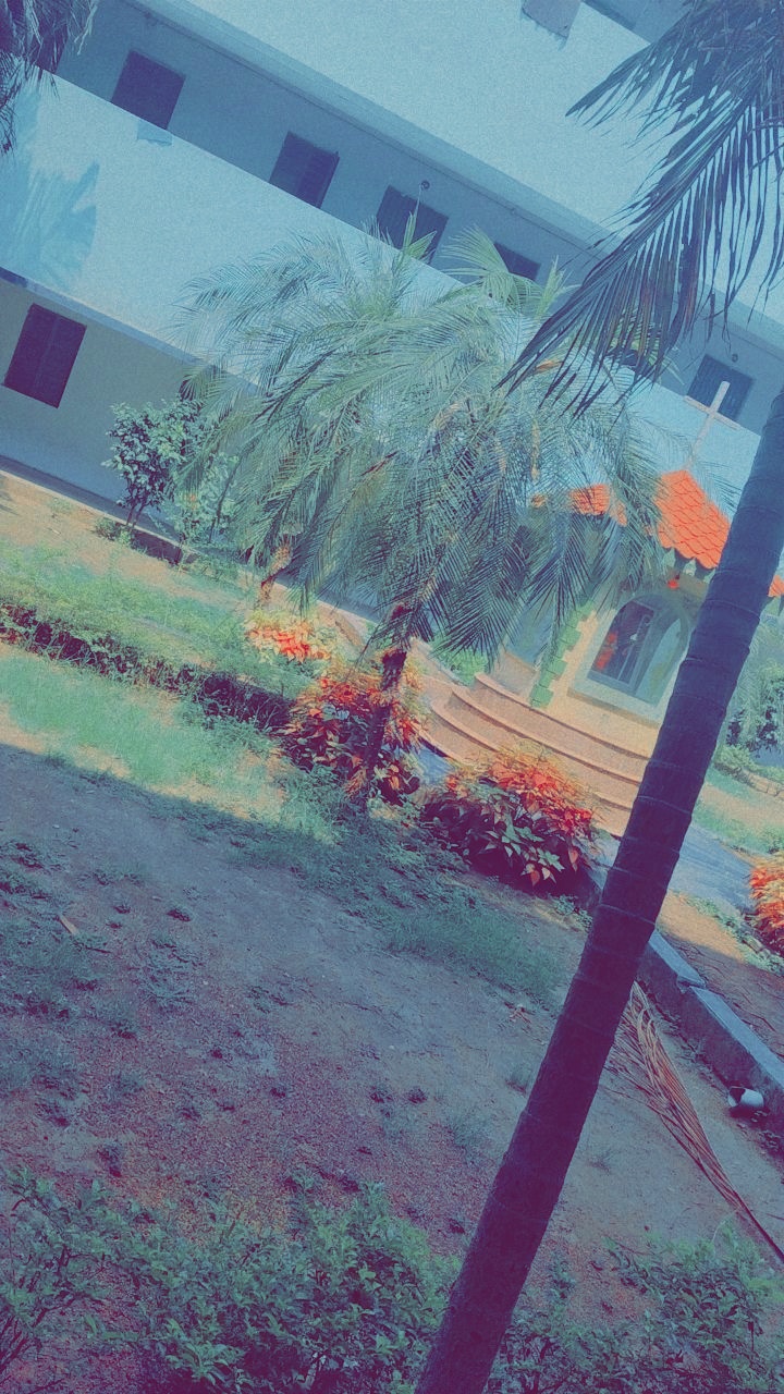 St. Thomas College Bhilai Hostels photo (1) by Diksha