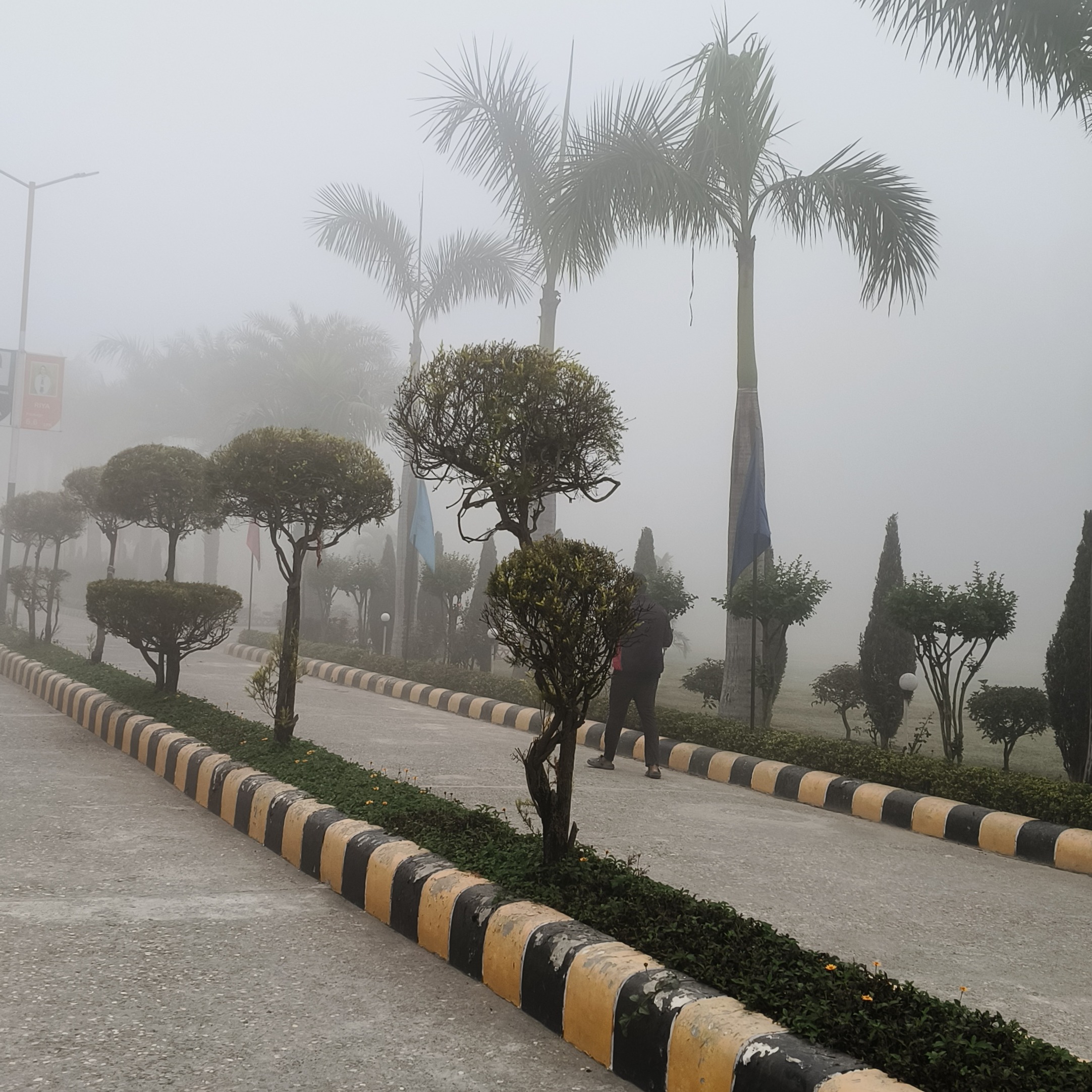 Haridwar University Campus photo (13) by Sweta Bharti