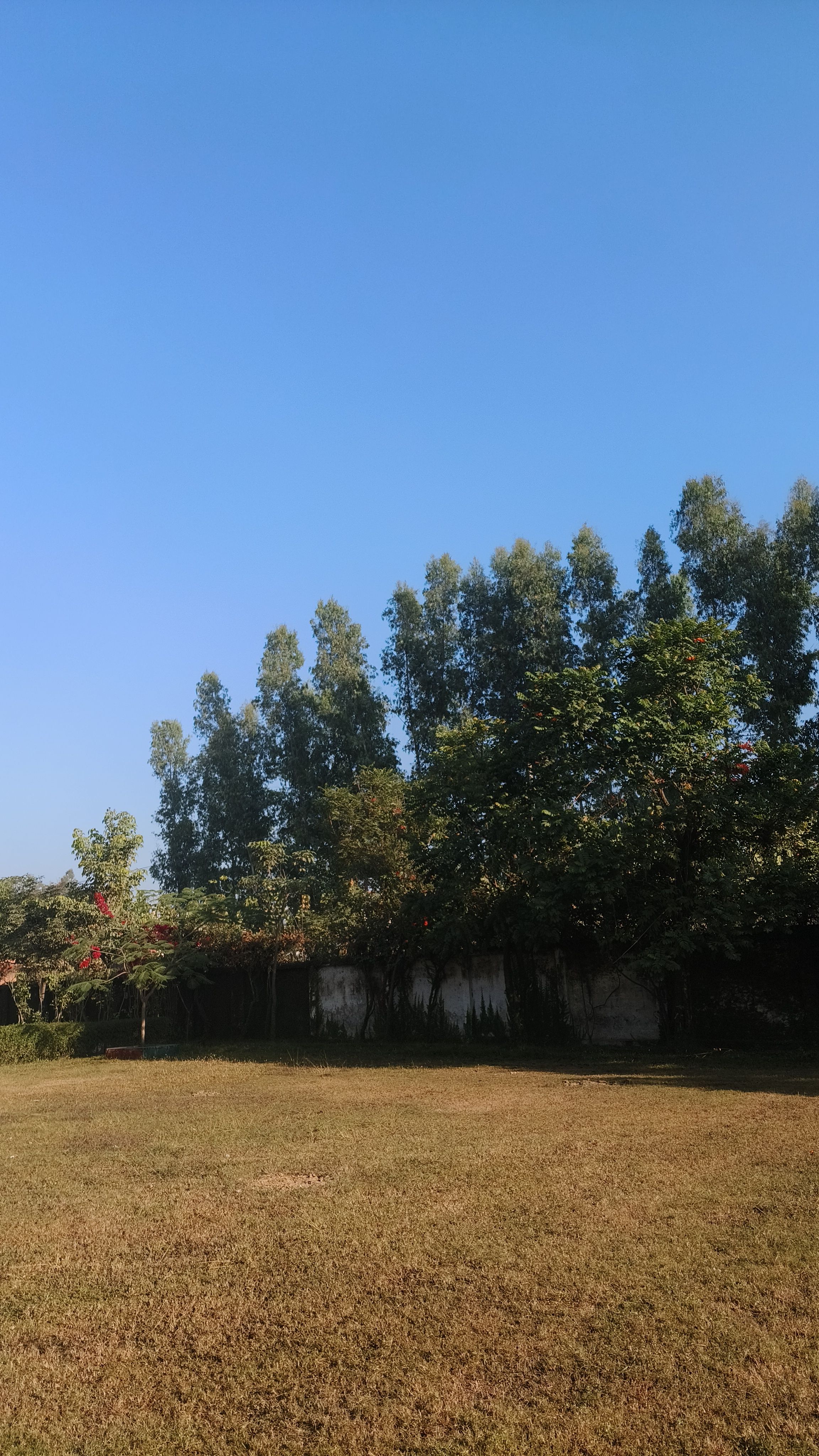Haridwar University Campus photo (12) by Sweta Bharti