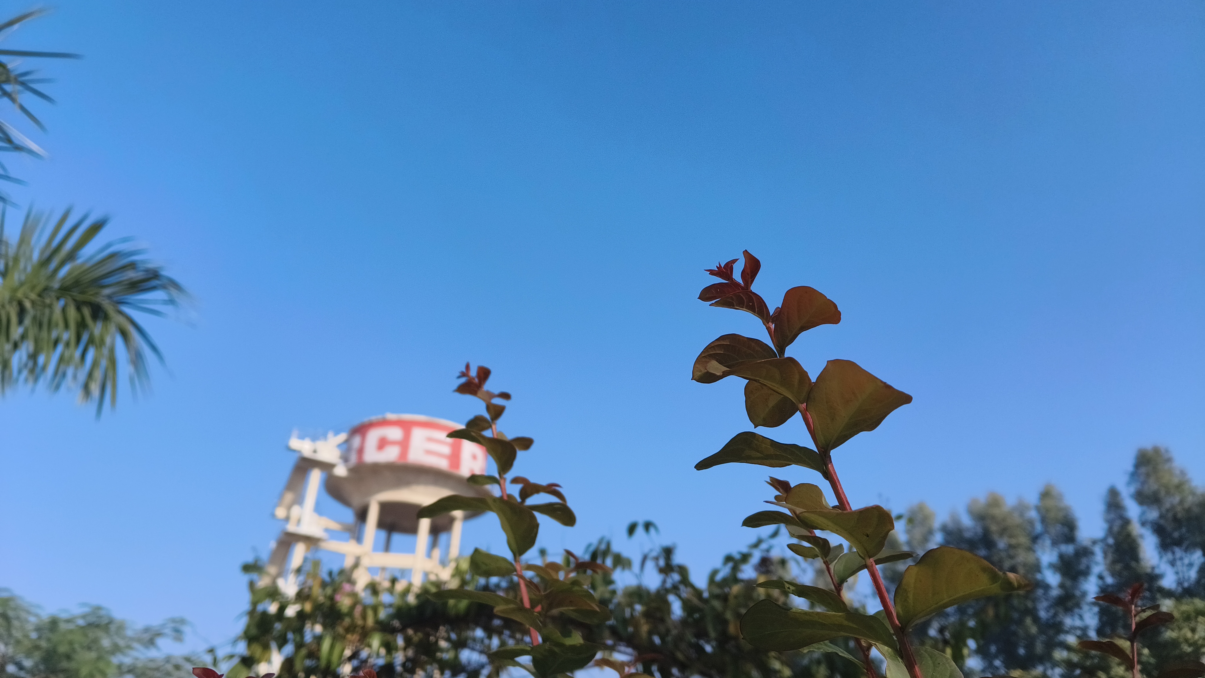 Haridwar University Campus photo (11) by Sweta Bharti