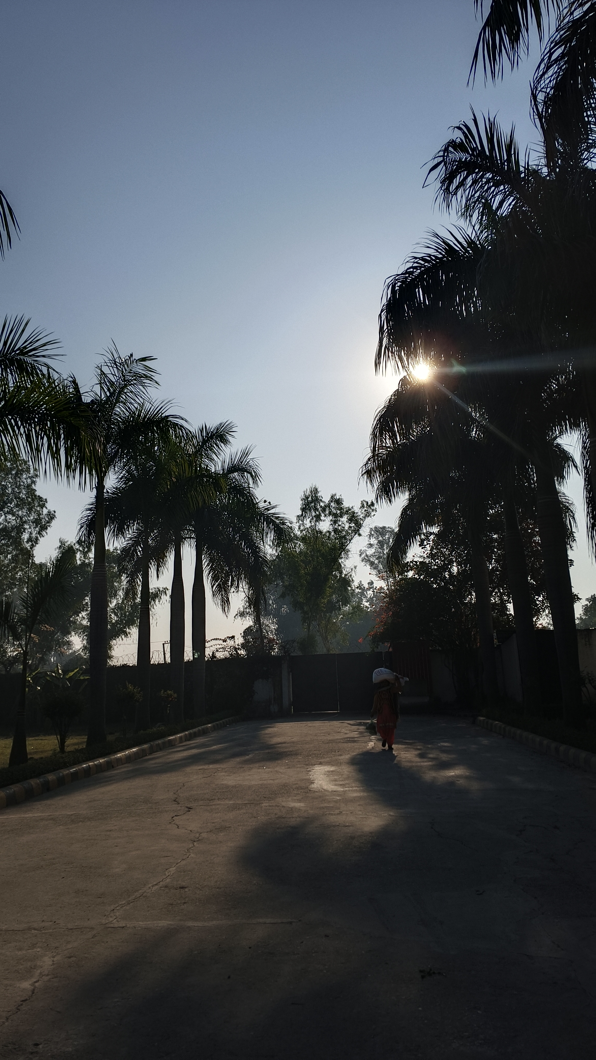 Haridwar University Campus photo (10) by Sweta Bharti