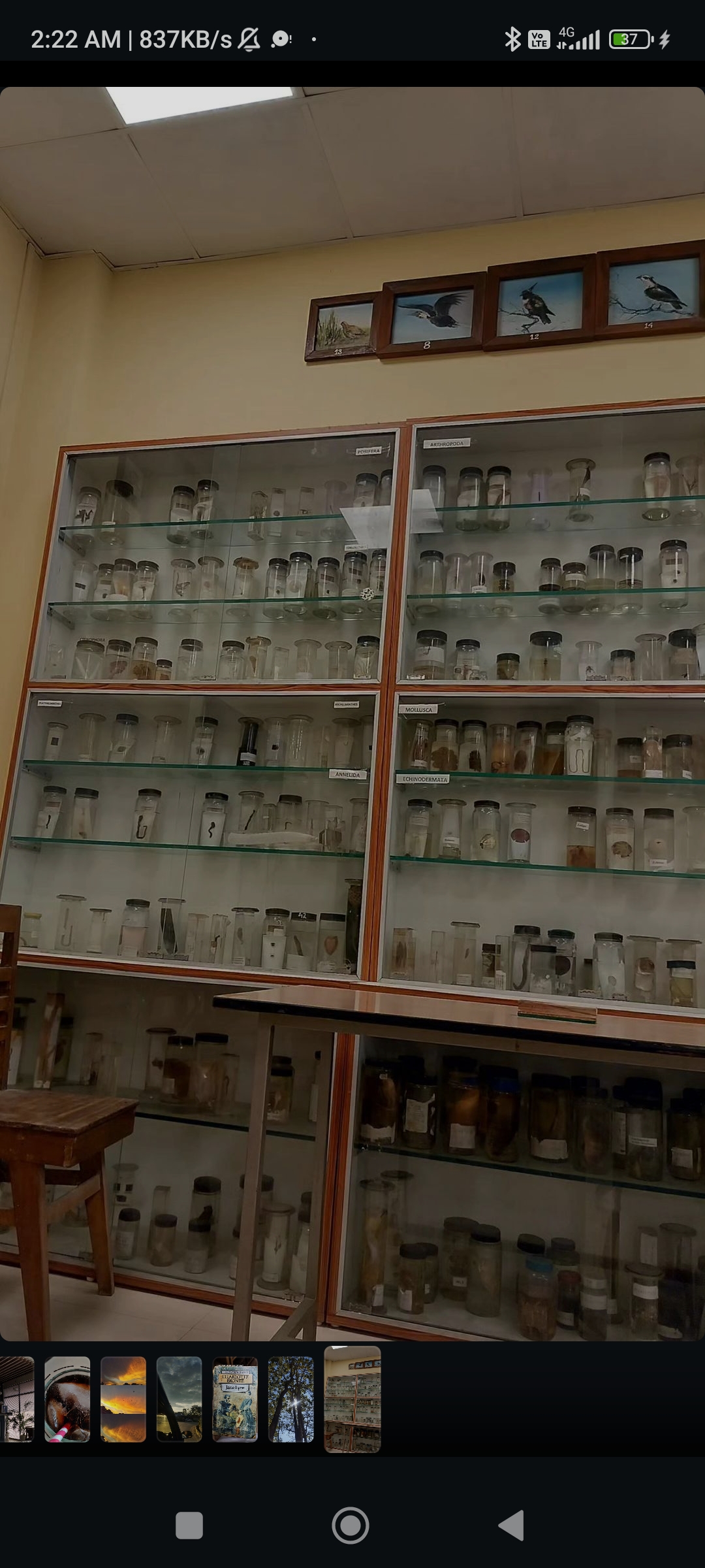 Nowgong College Nagaon Facilities & Labs photo (1) by Ruchita Borah