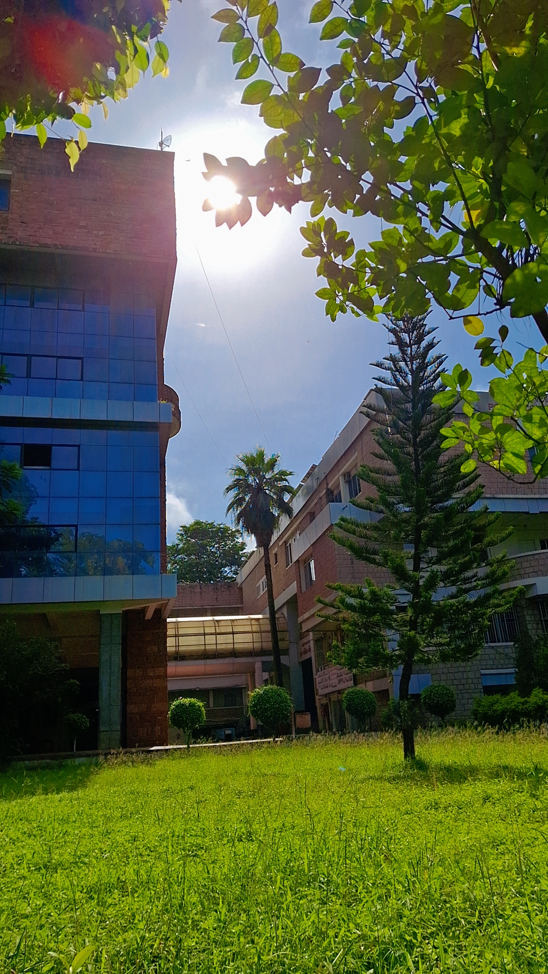 Yashwantrao Mohite College Pune Campus photo (1) by Allana Shaikh