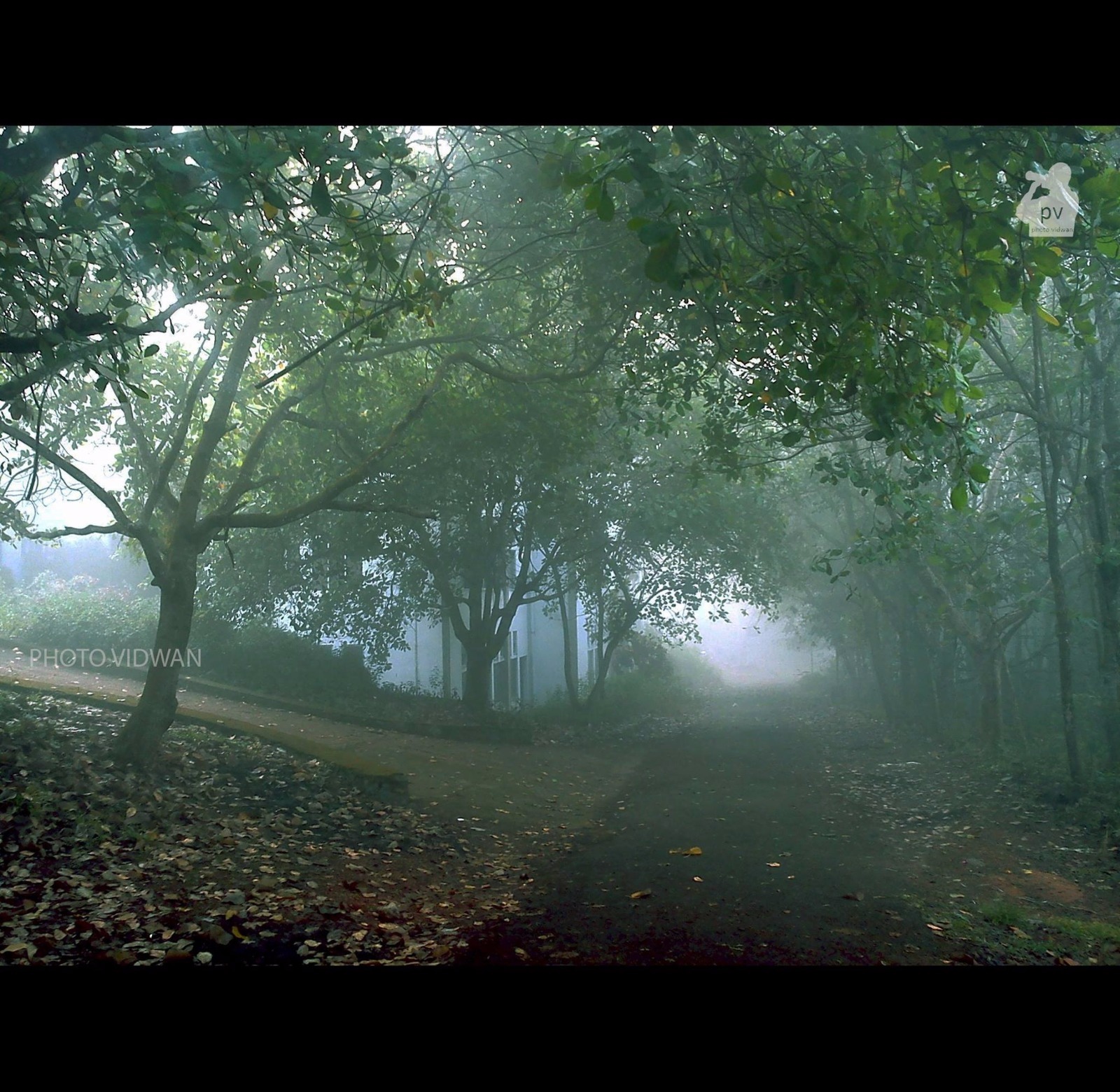College of Engineering Kidangoor General photo (2) by Anith B