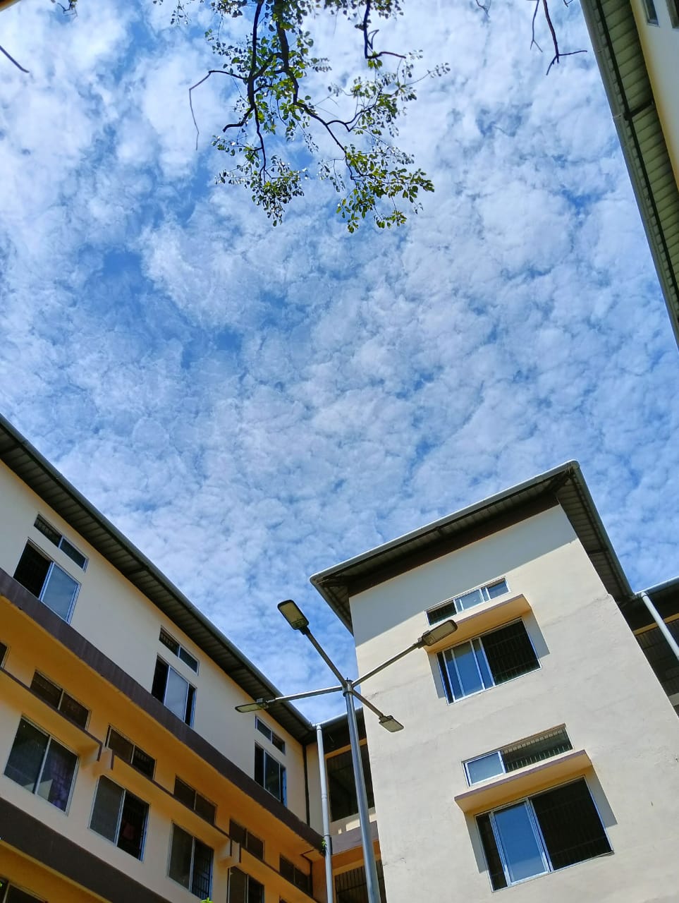 Arya Vidyapeeth College Guwahati Infrastructure & Academic Building photo (13) by Harshita Hazarika