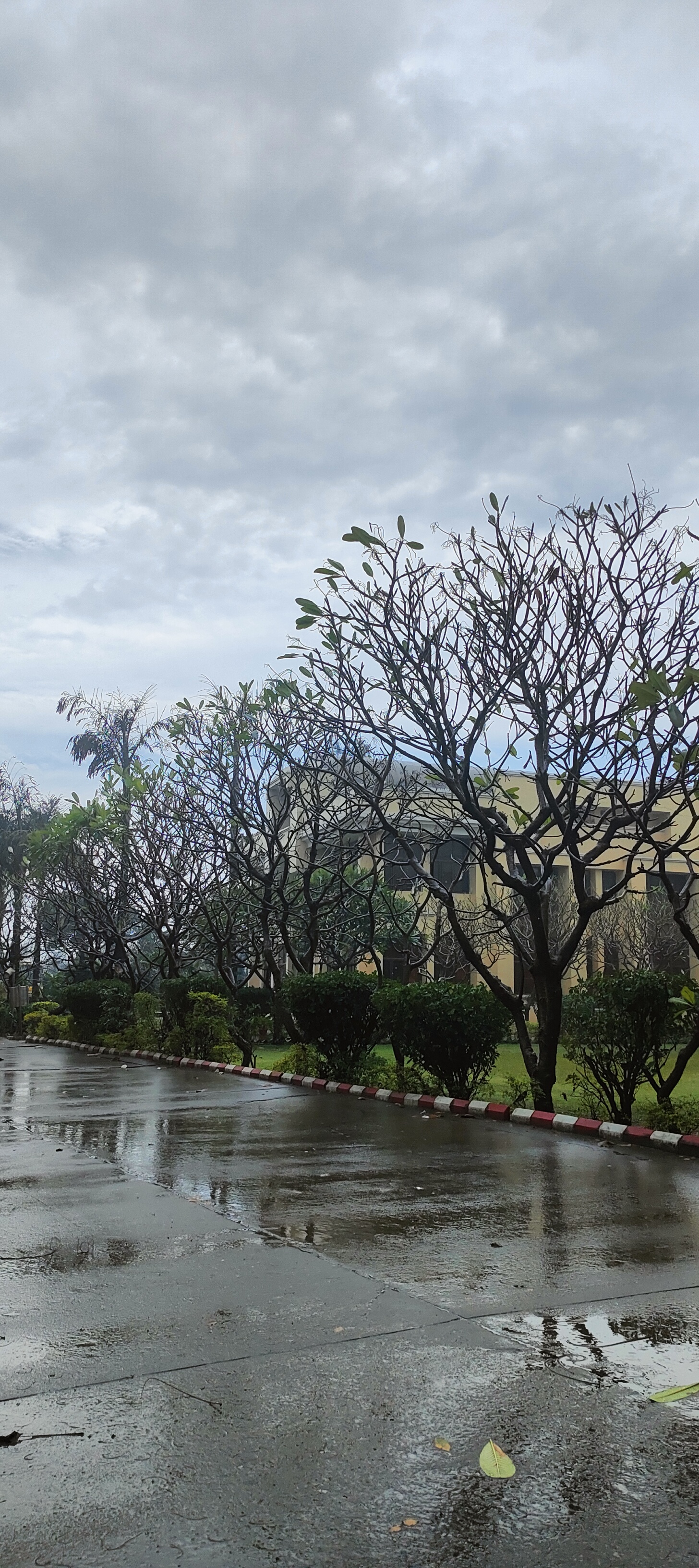 Invertis University Bareilly Campus photo (16) by shivam joshi