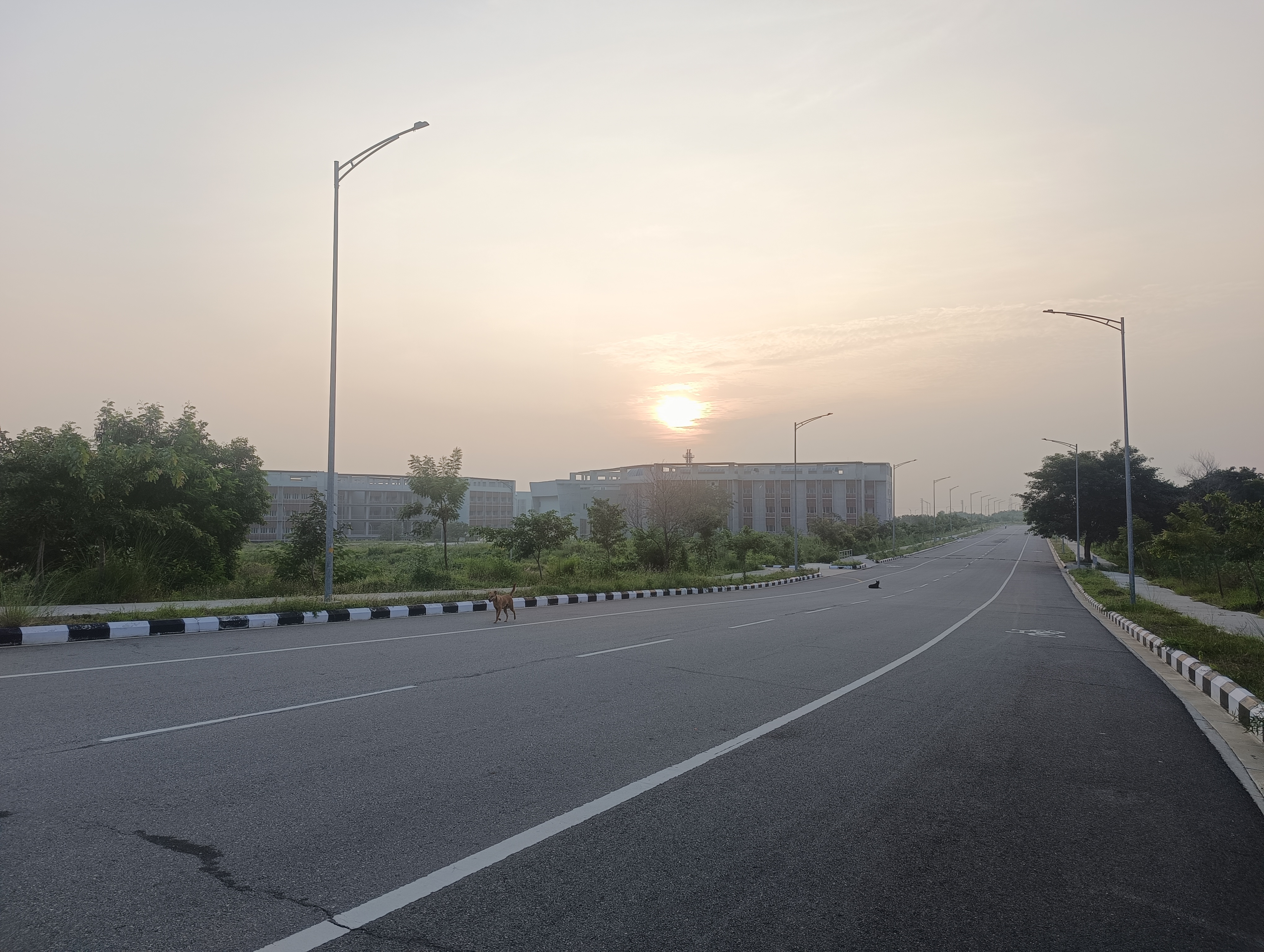 IIT Tirupati Campus photo (8) by Koppula Veera Venkatesh